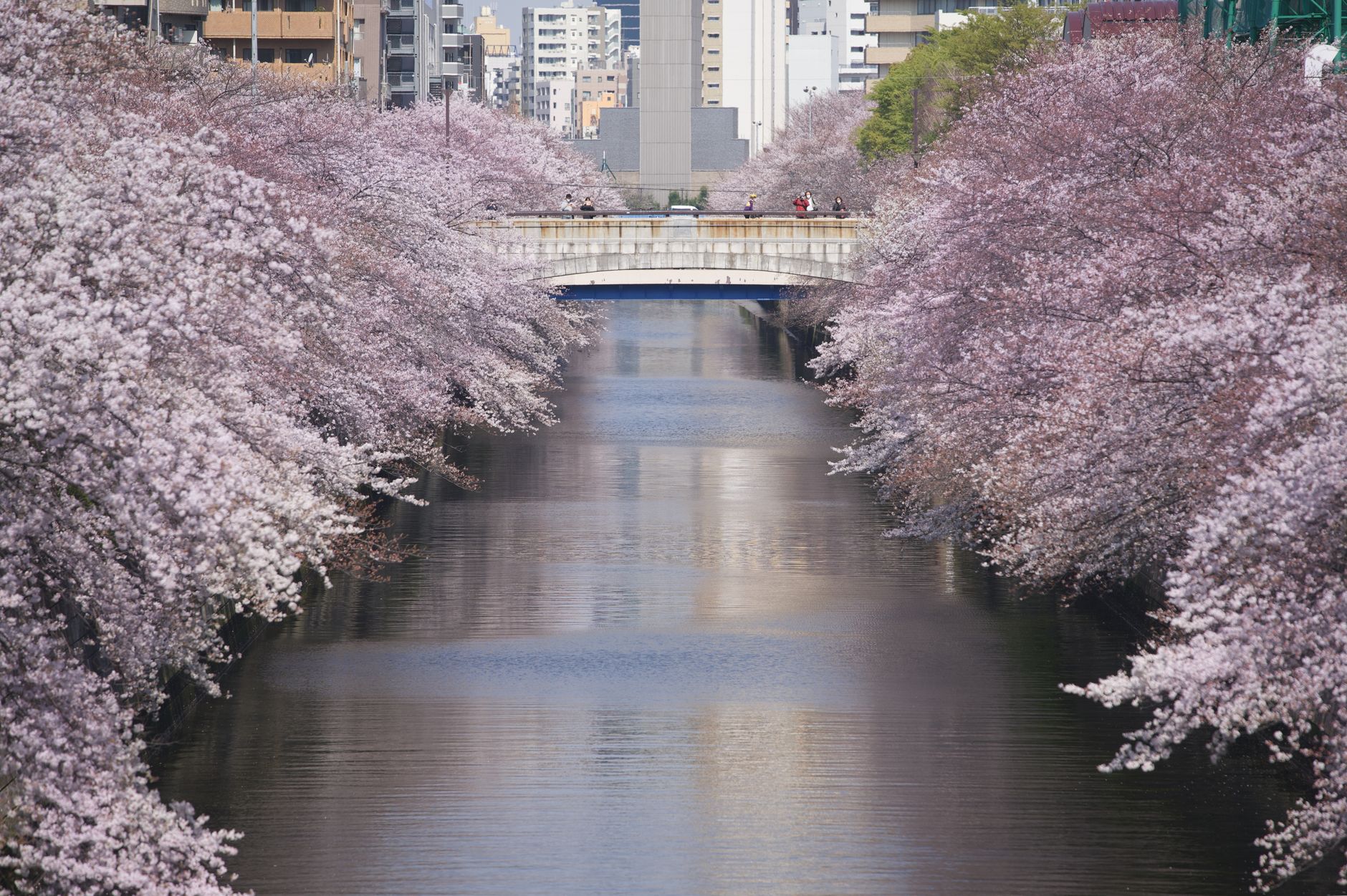 Nakameguro