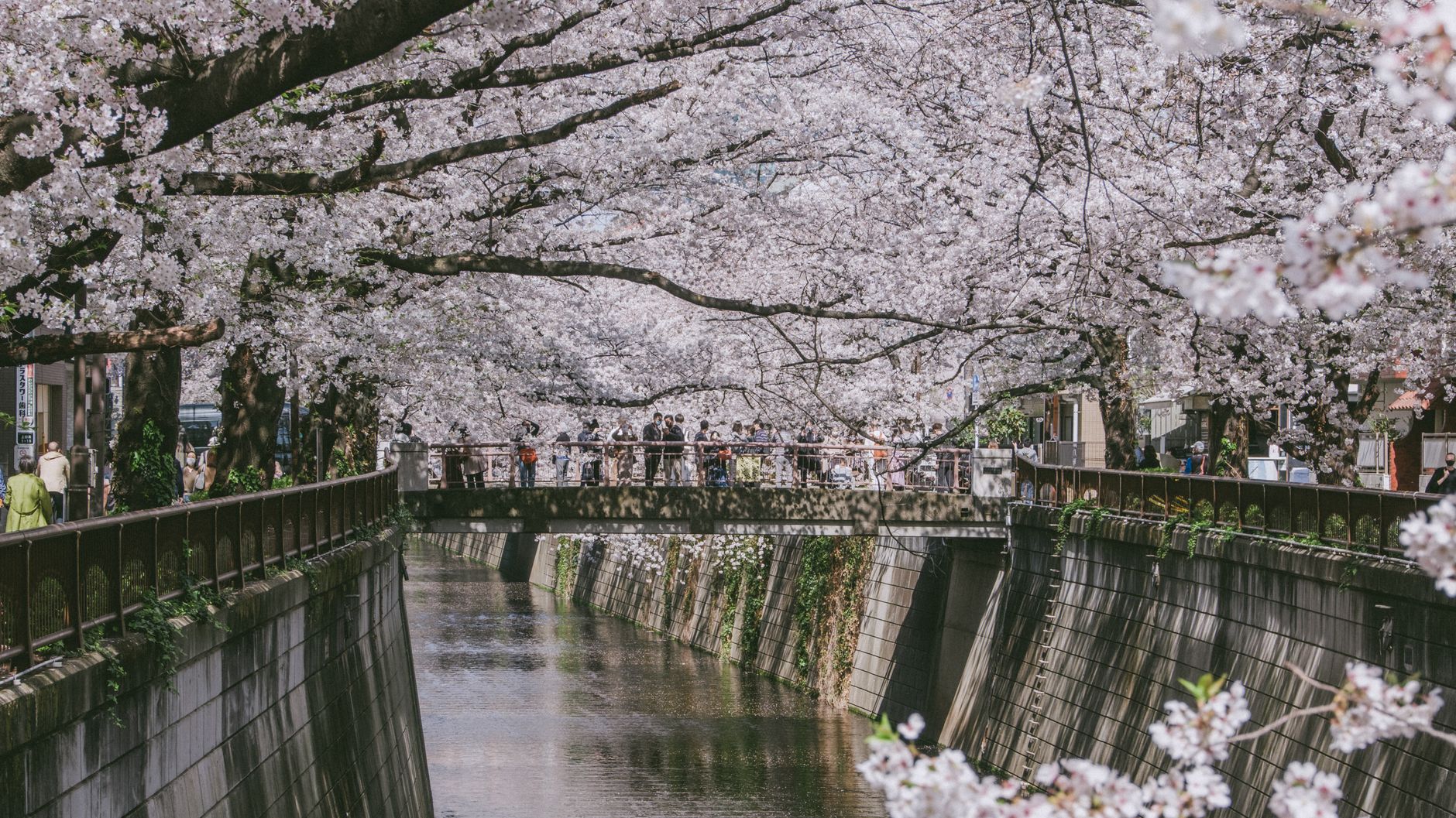 Nakameguro
