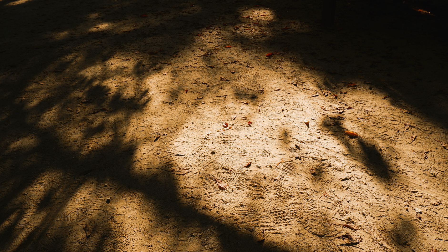 Nami Island