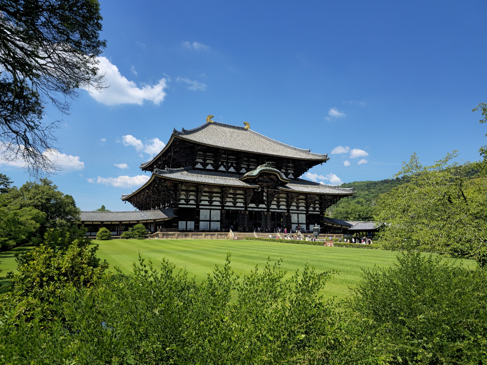 Nara Park