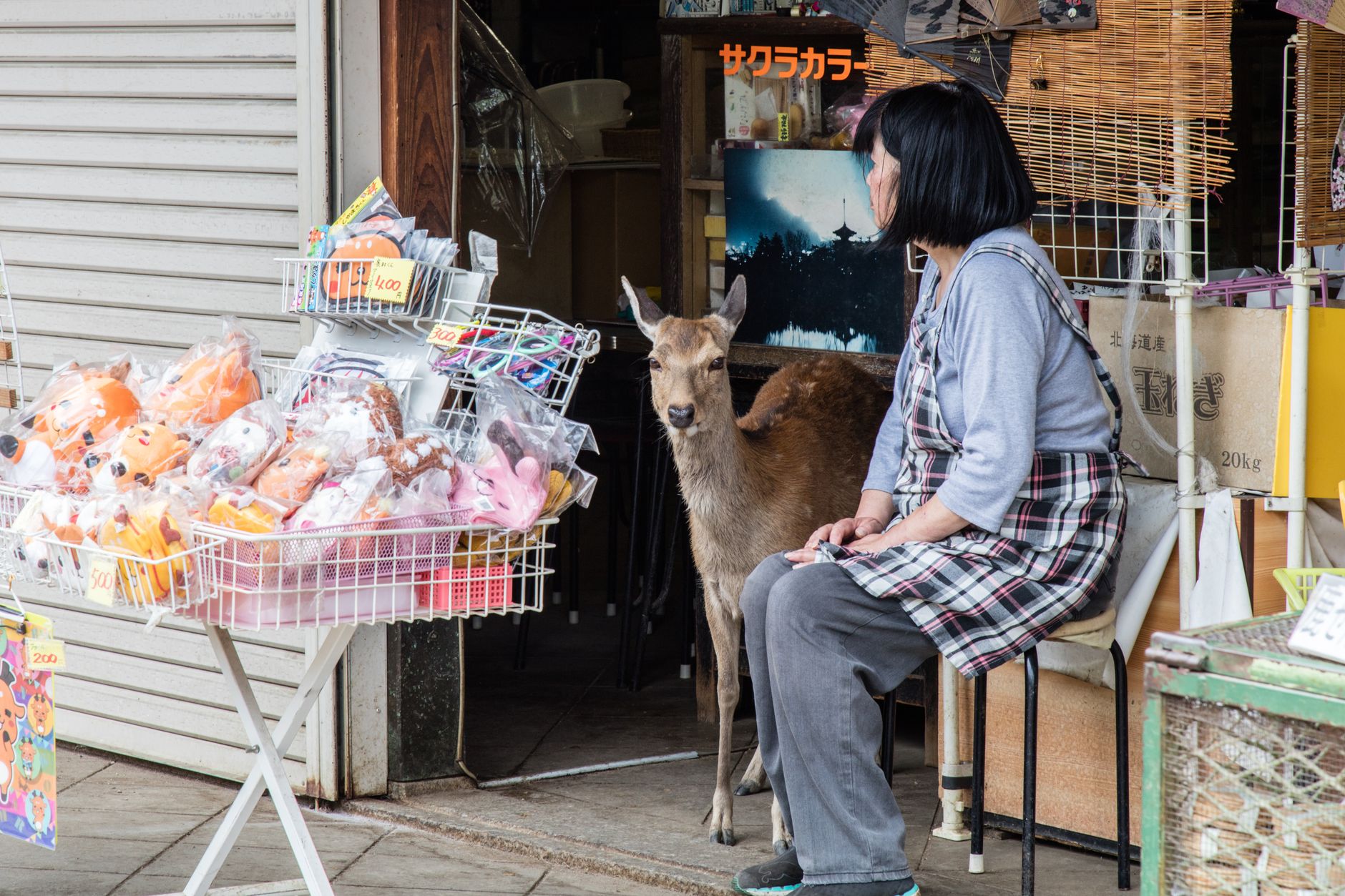 Nara