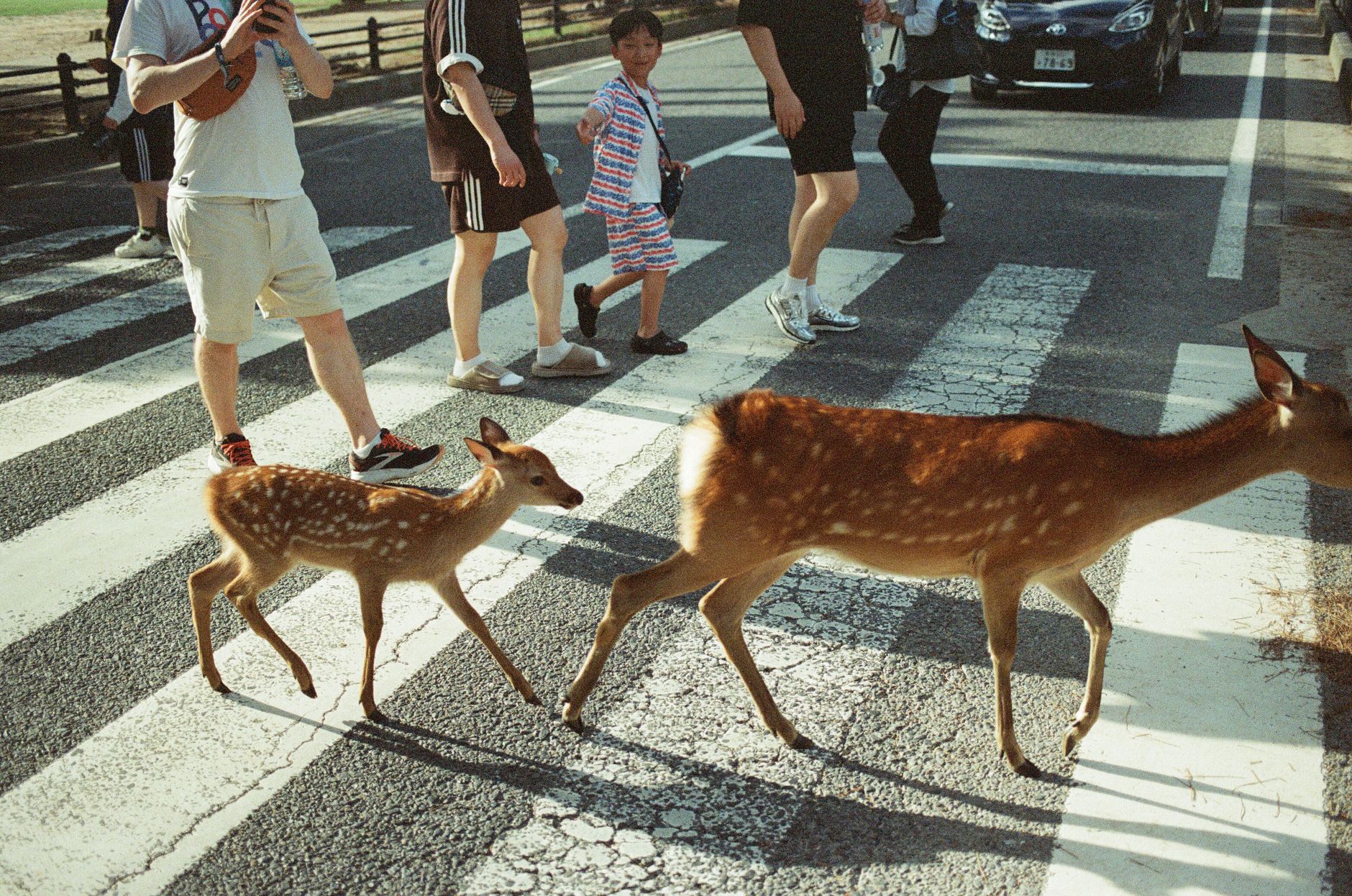 Nara