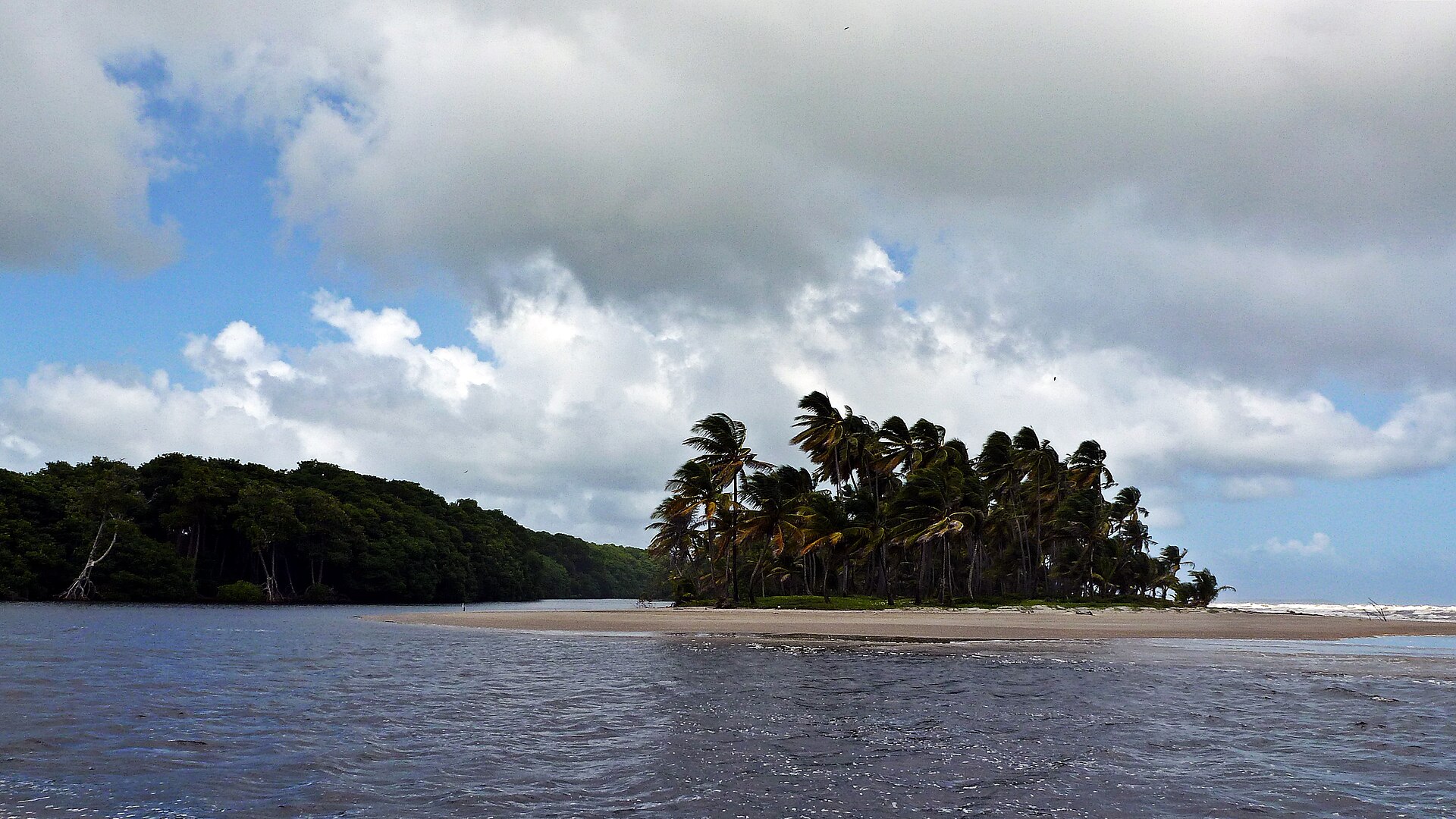 Nariva Swamp