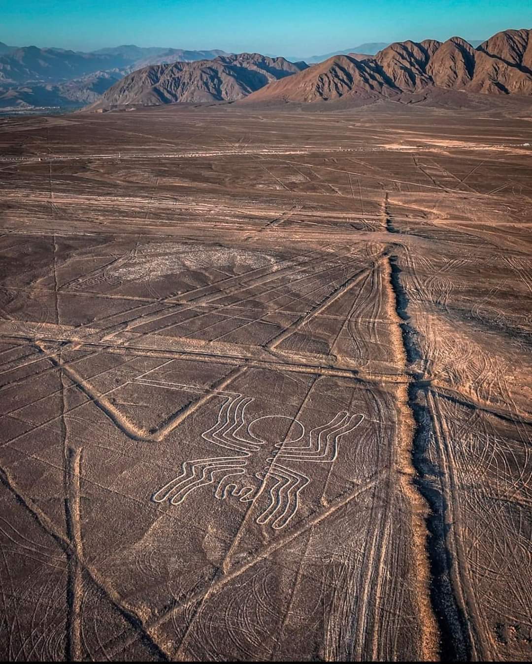 Nazca Lines (Líneas de Nazca)