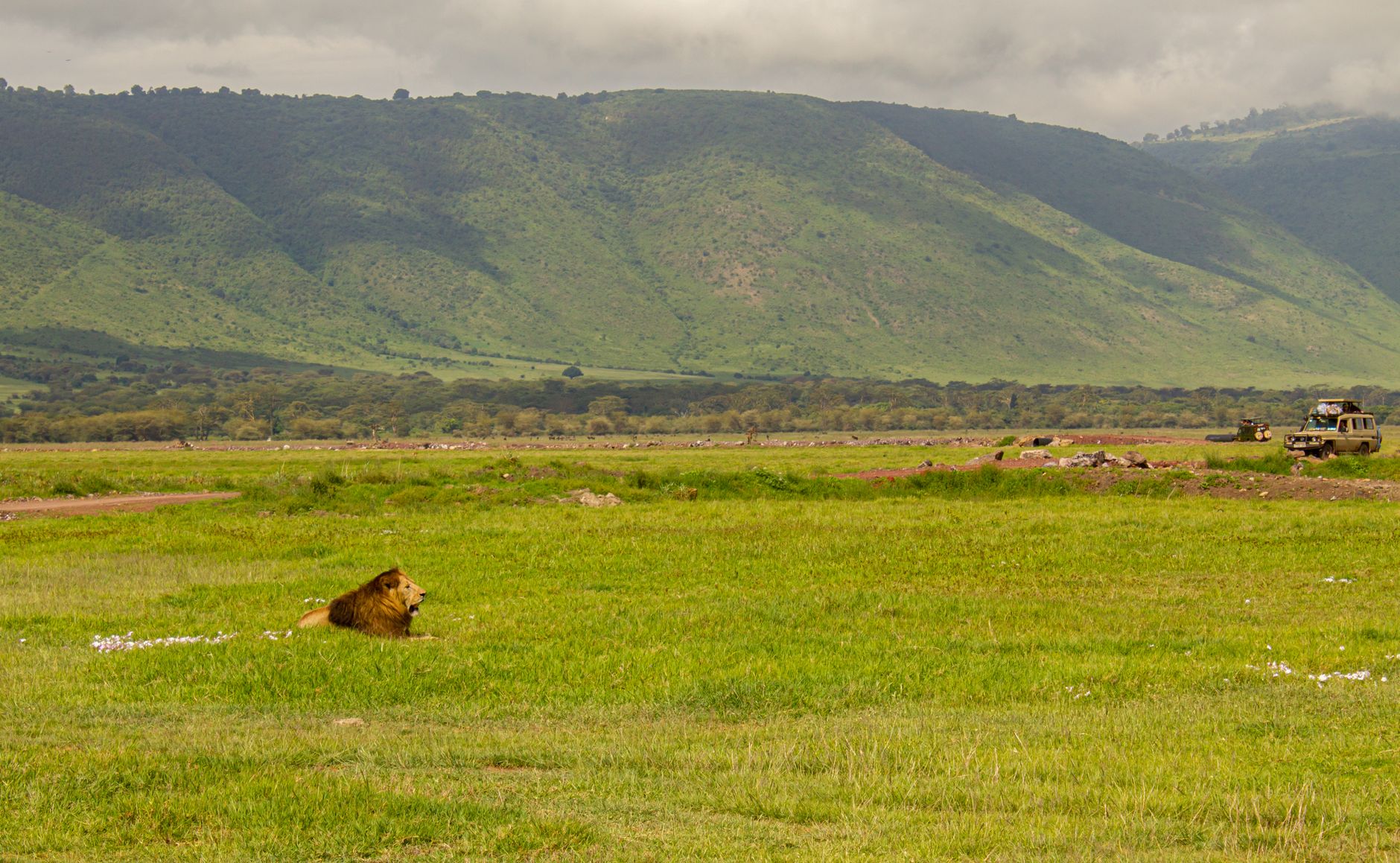 Ngorongoro Conservation Area