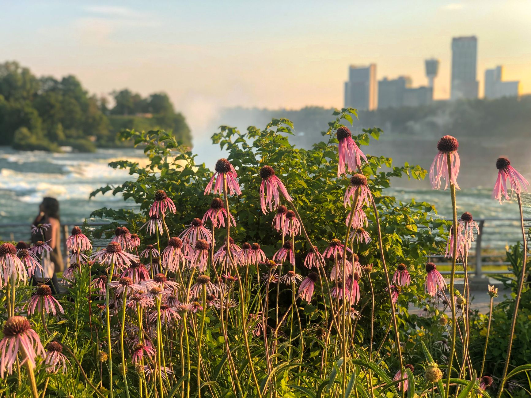 Niagara Falls, New York