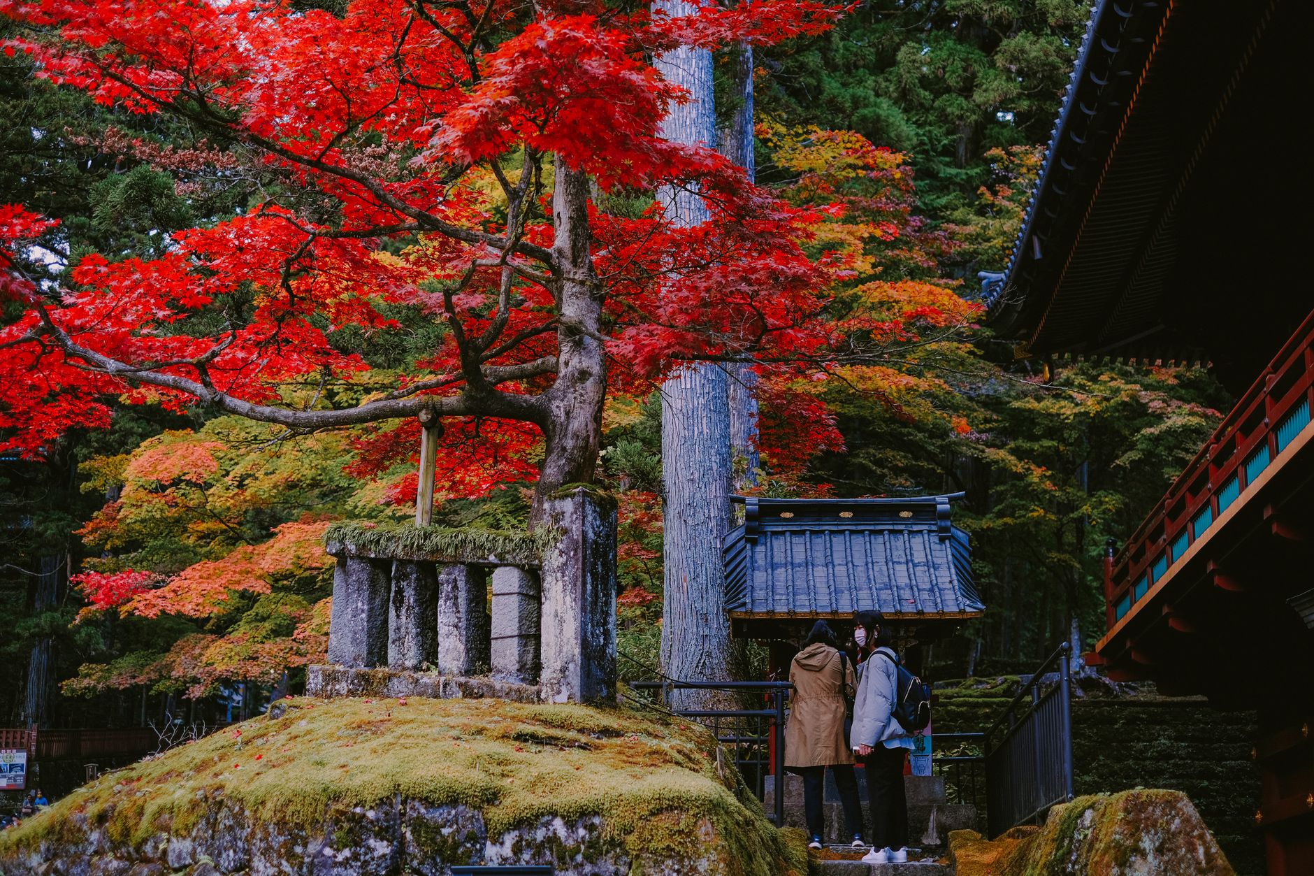 Nikko
