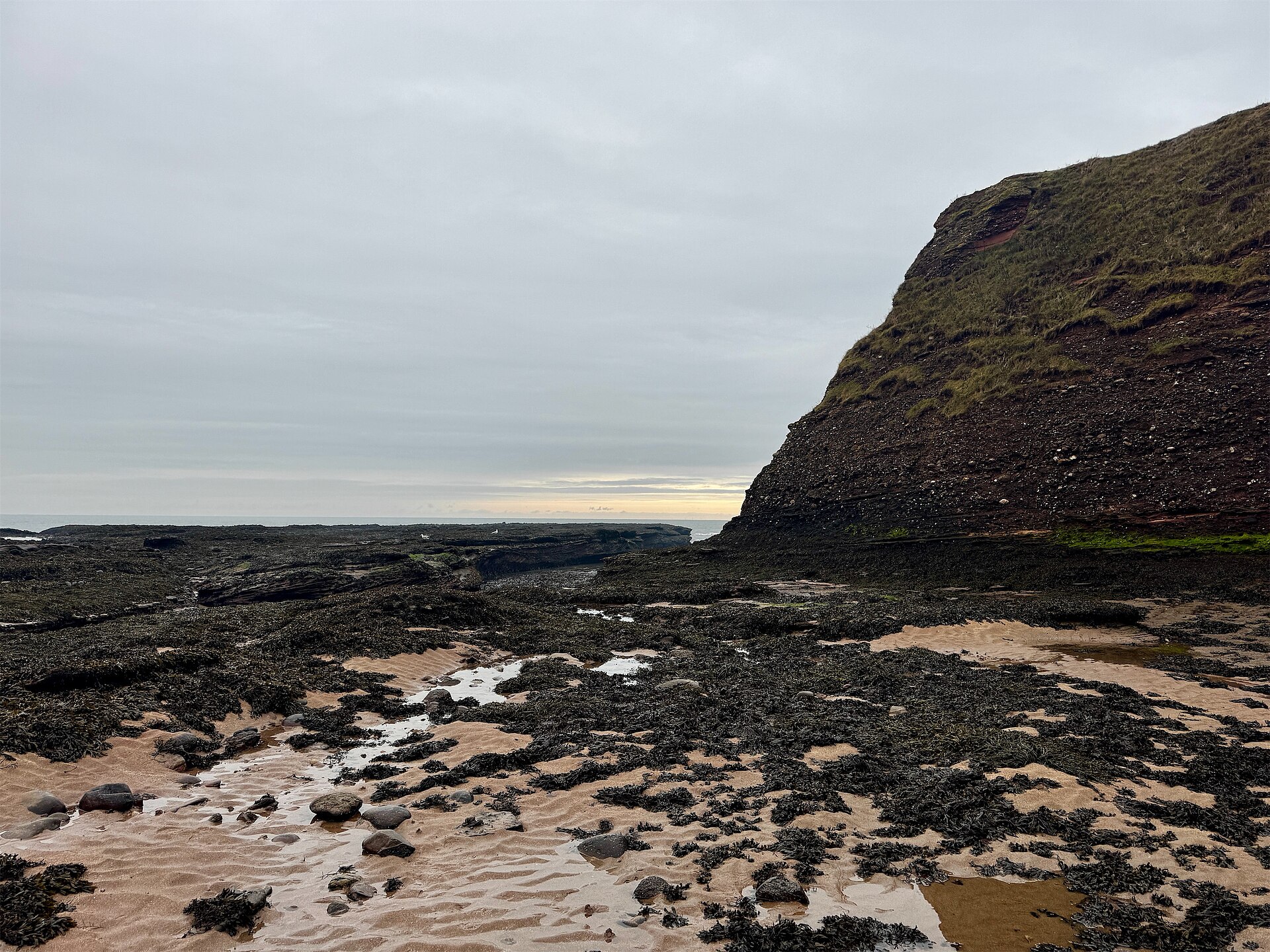 North Sea Coast