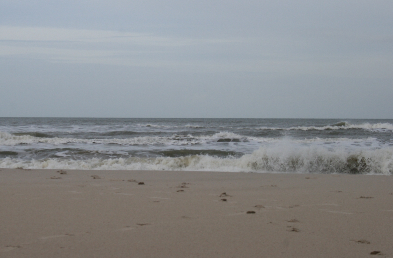 North Sea Coast