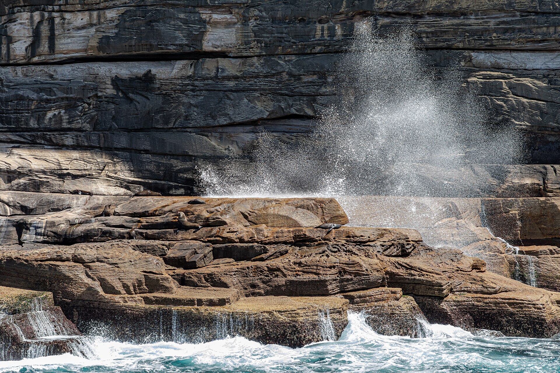North Sea Coast
