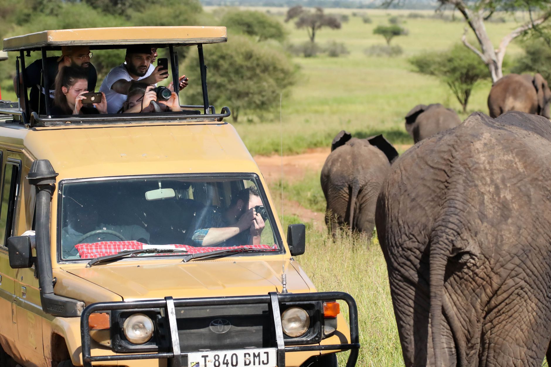 Northern Serengeti (Lamai Wedge)