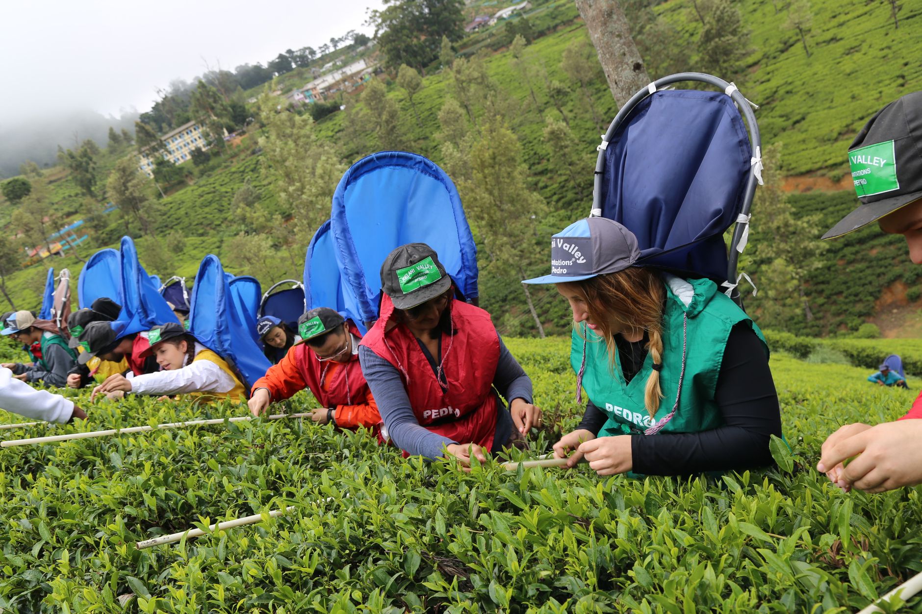 Nuwara Eliya