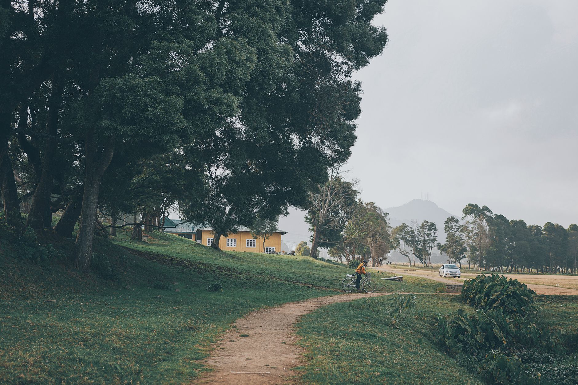 Nuwara Eliya