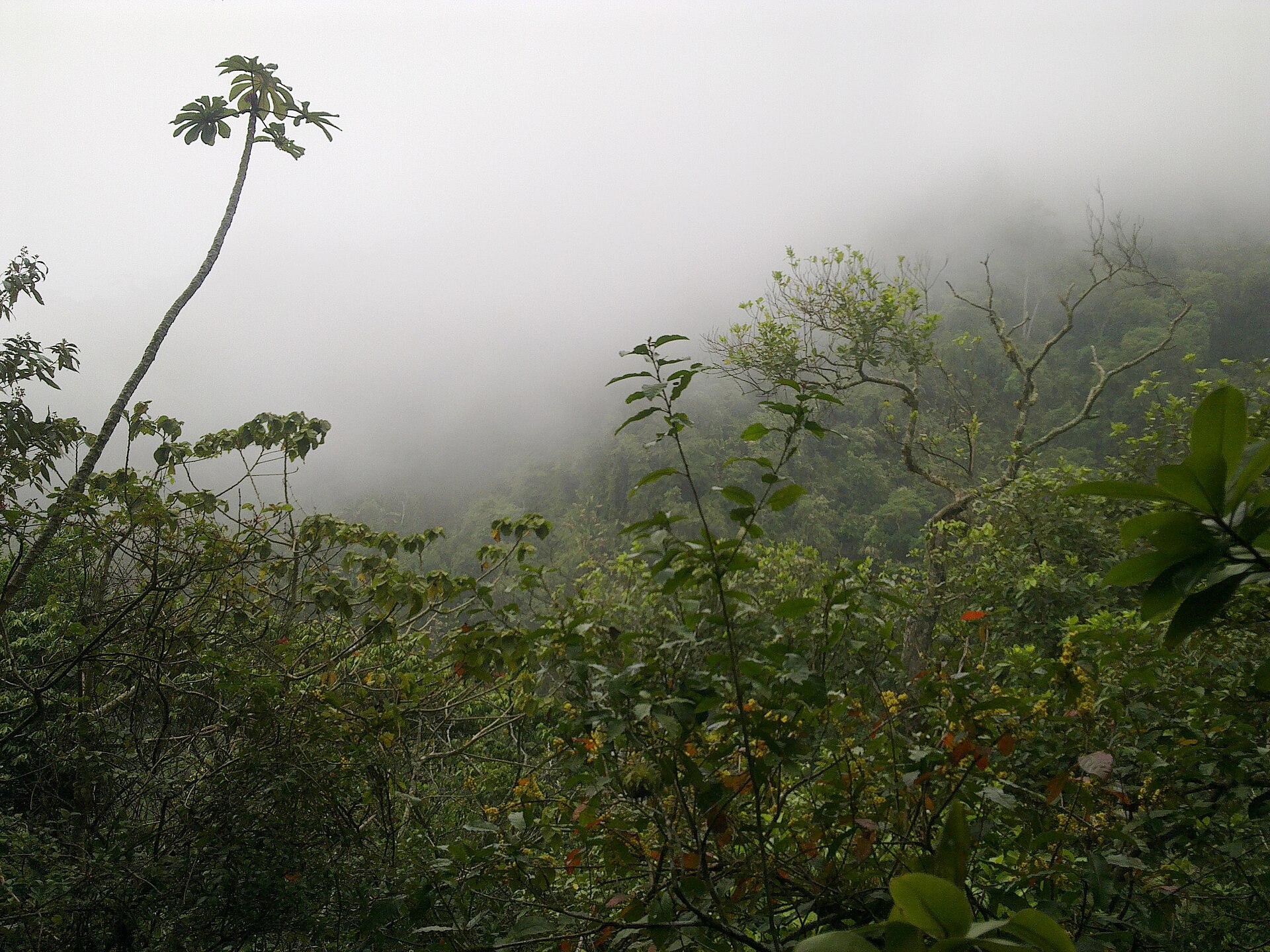 Ometepe Island