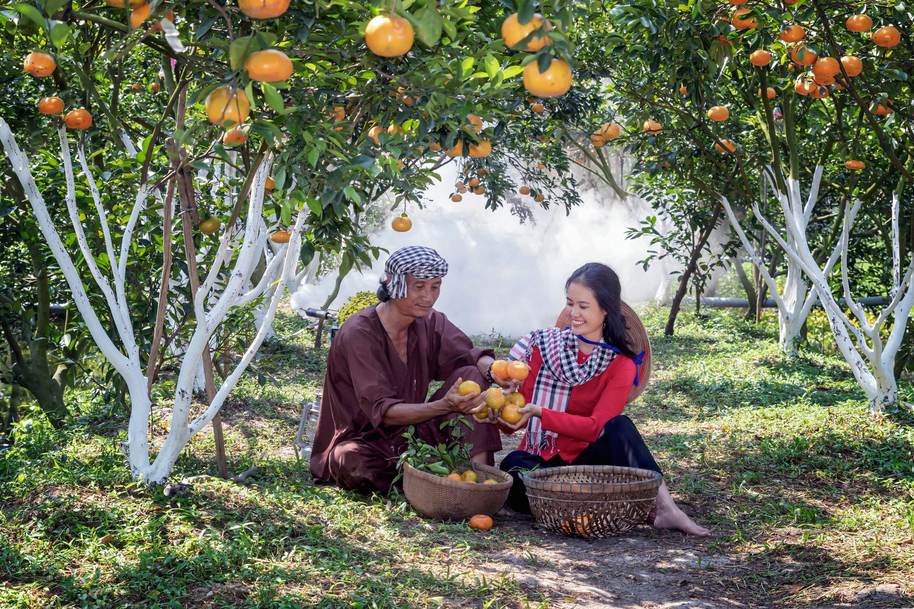 Orange Grove Gardens