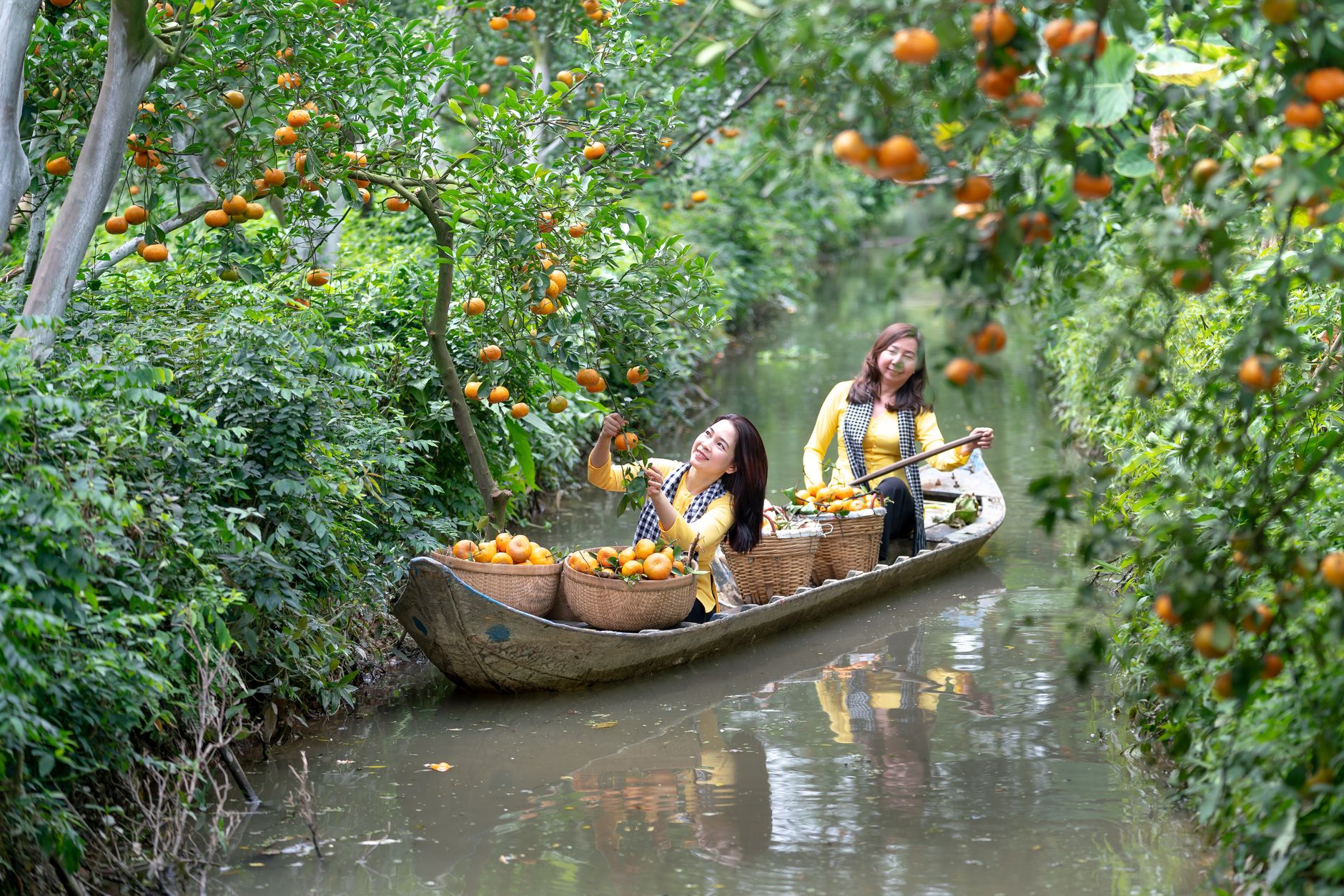 Orange Grove Gardens