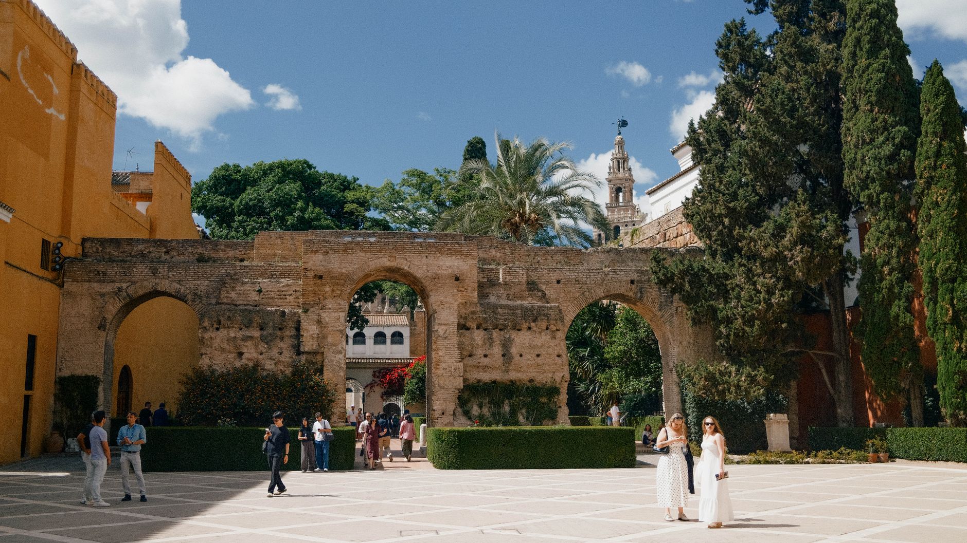 Orange Tree Courtyard