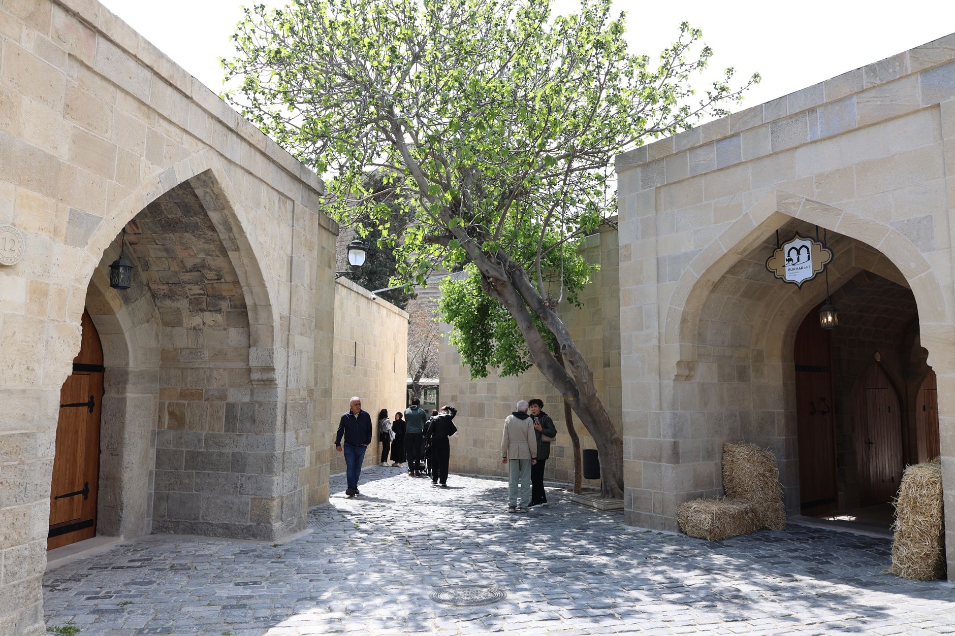 Orange Tree Courtyard