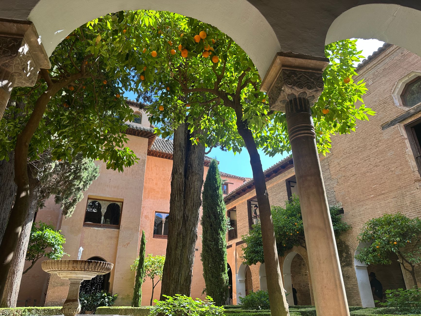 Orange Tree Courtyard