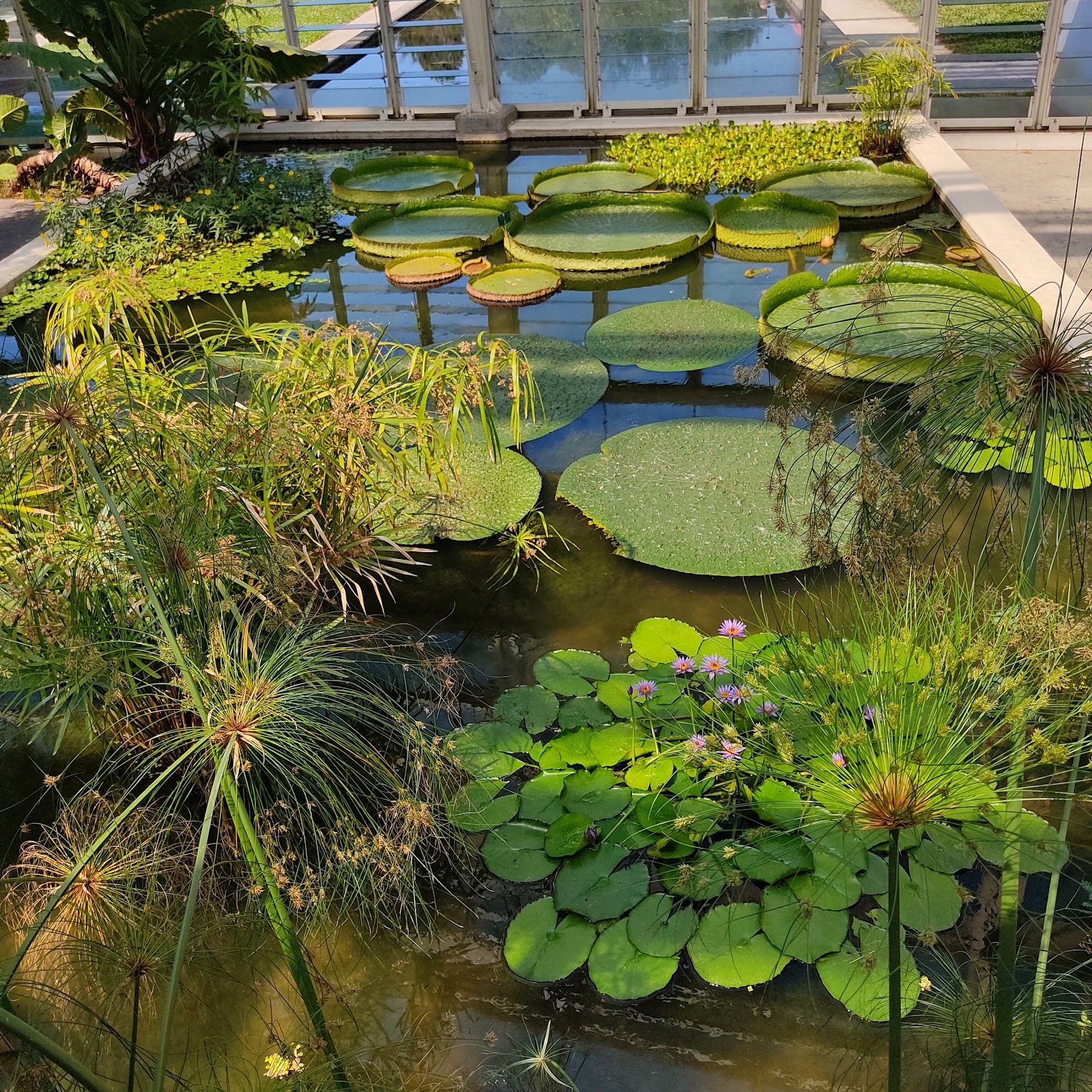 Orto Botanico di Padova