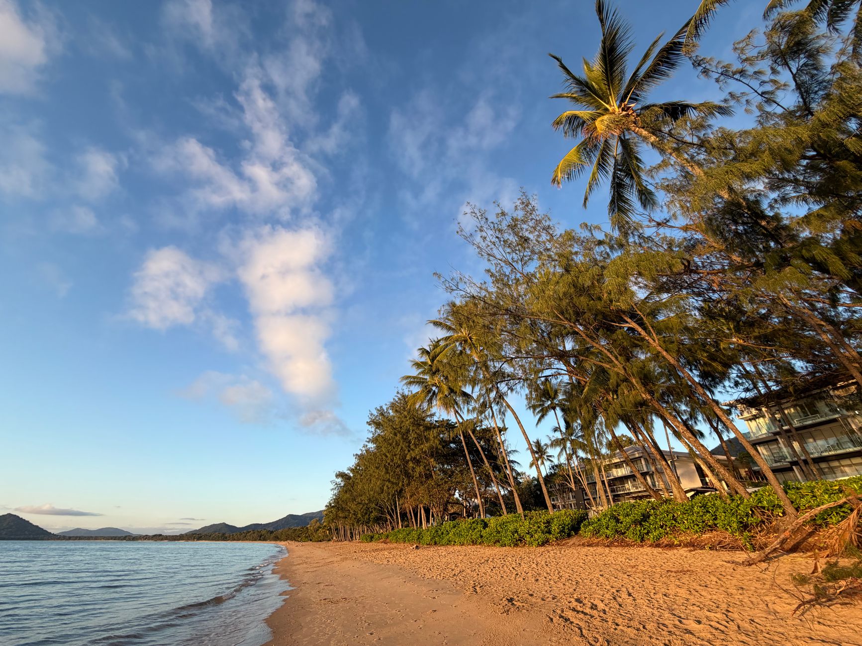 Palm Cove