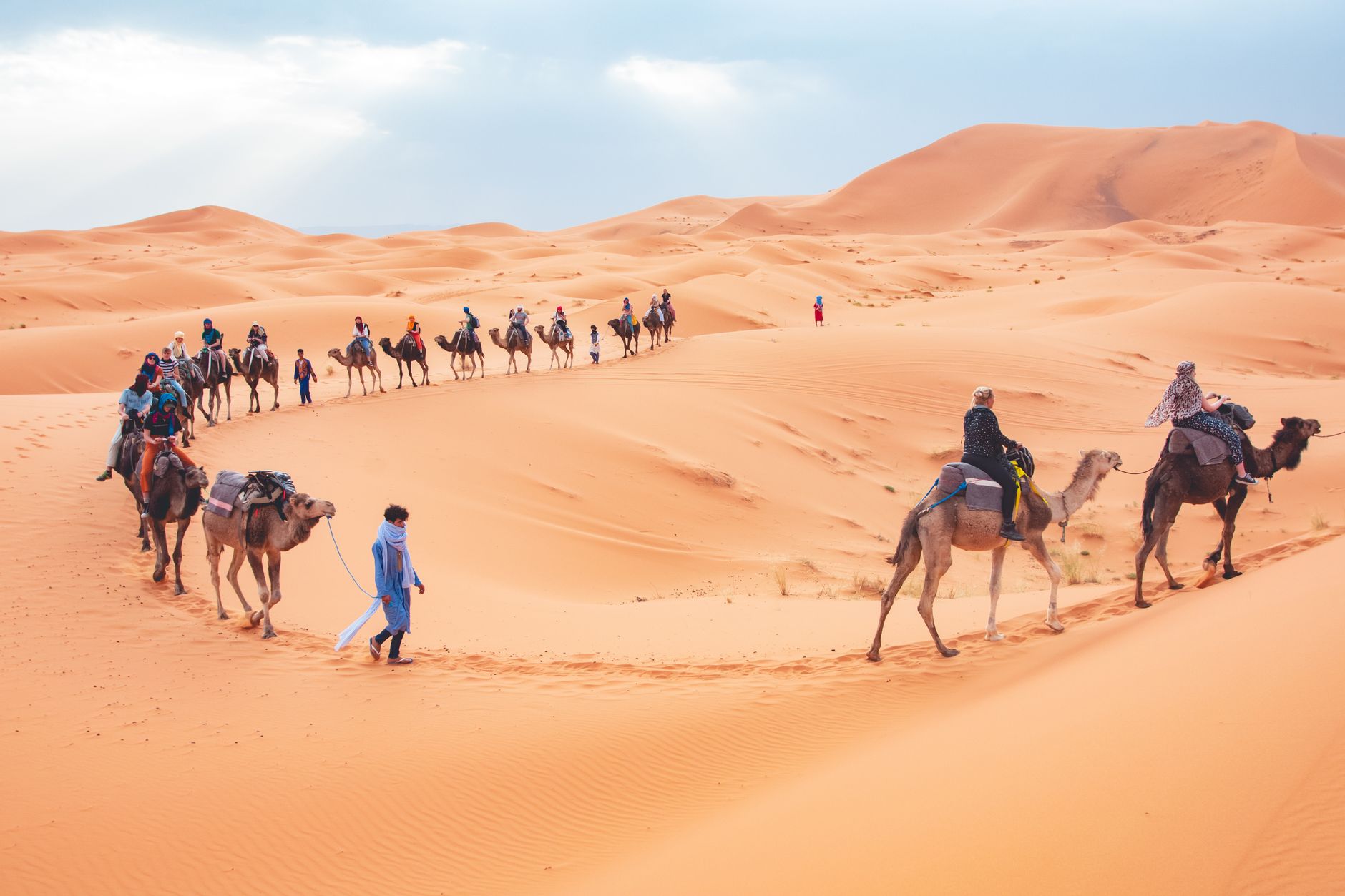Palmeraie Camel Trekking Area