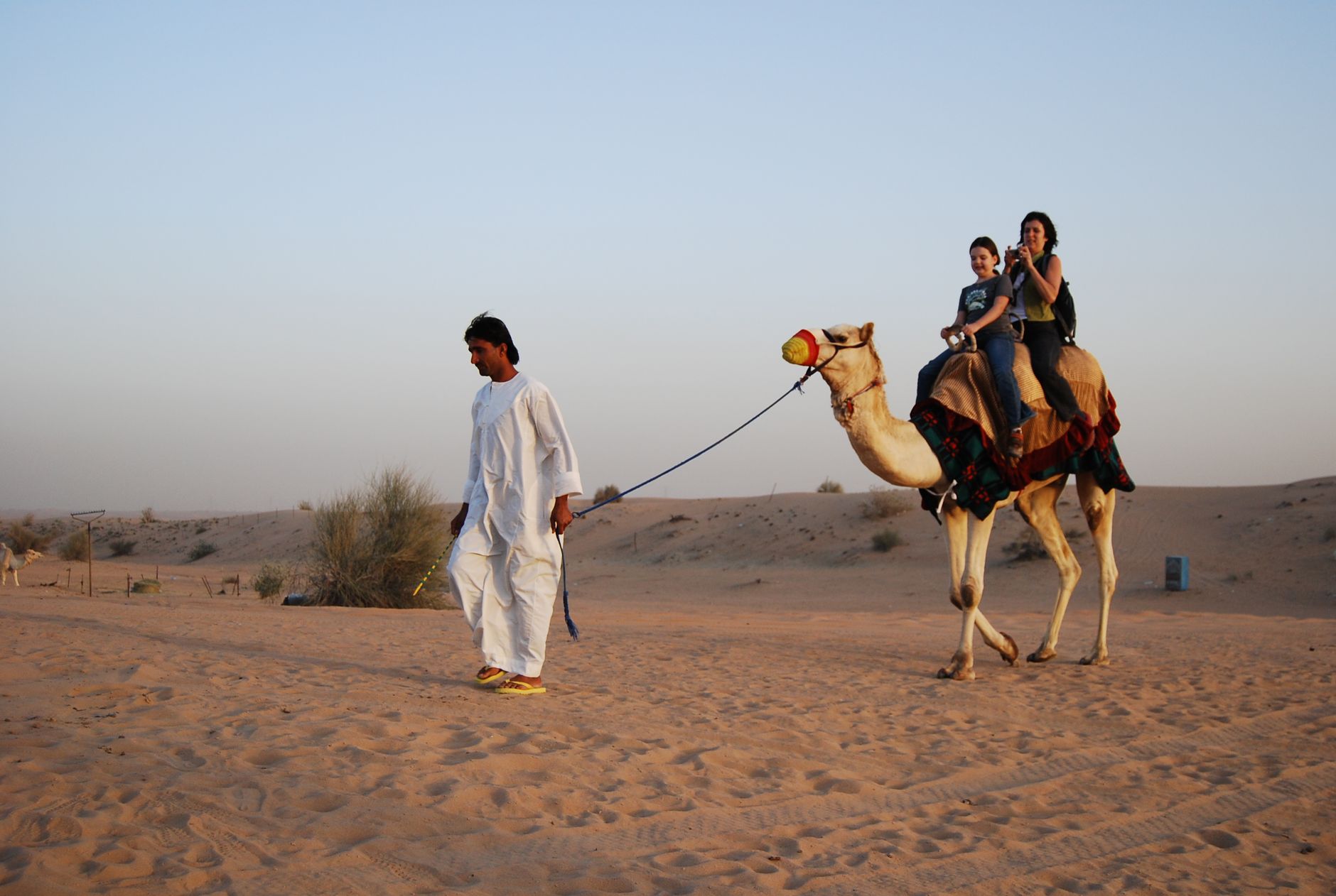 Palmeraie Camel Trekking Area