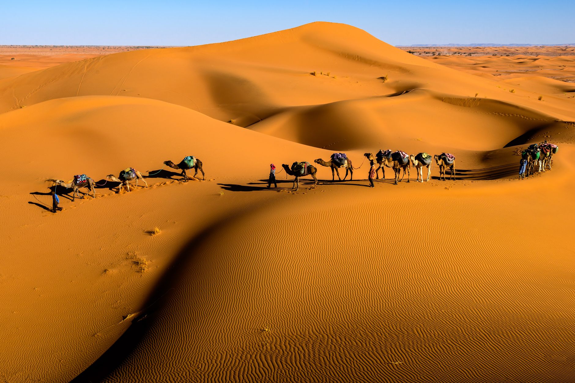Palmeraie Camel Trekking Area