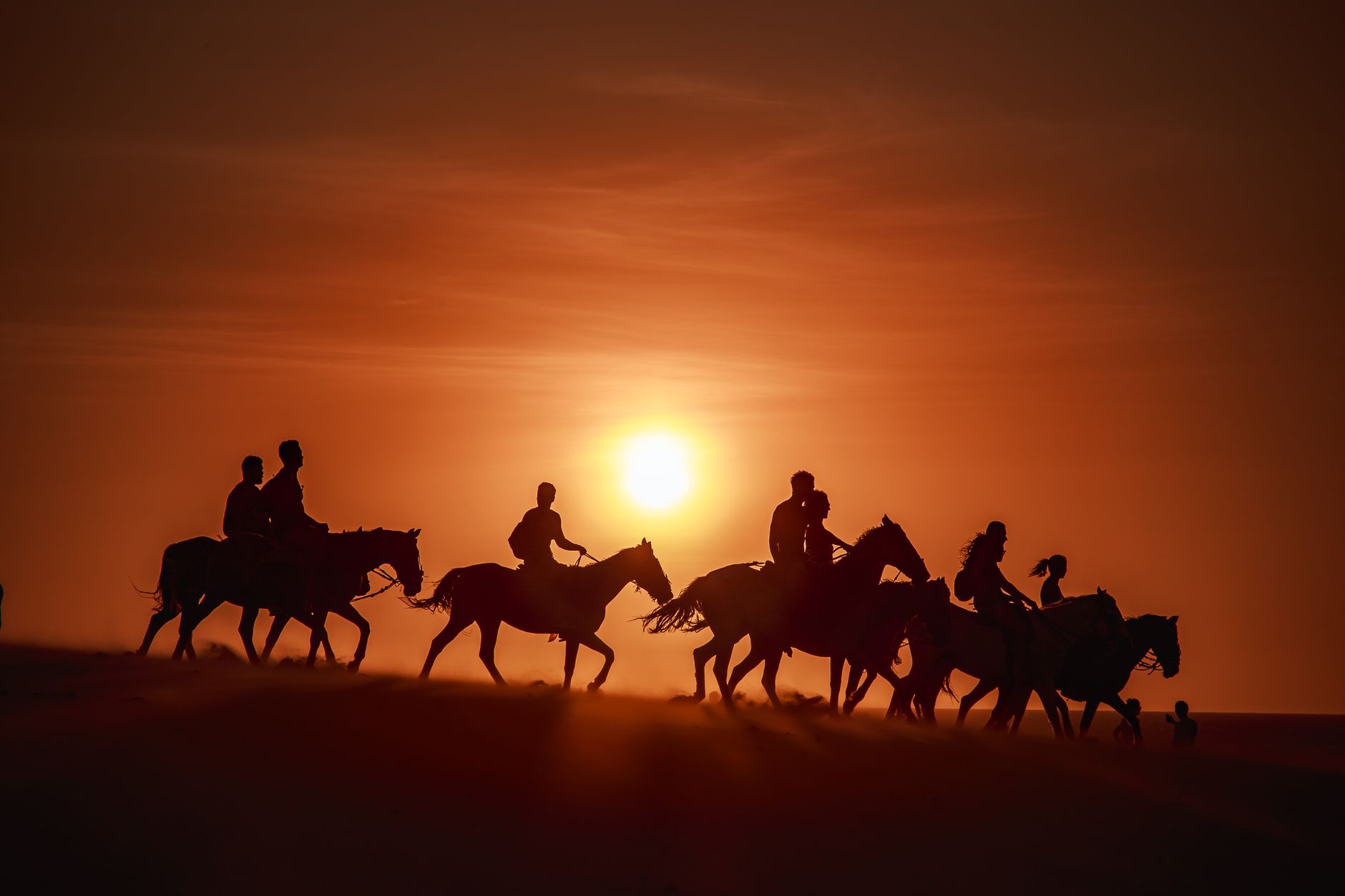 Palmeraie Horse Riding Club