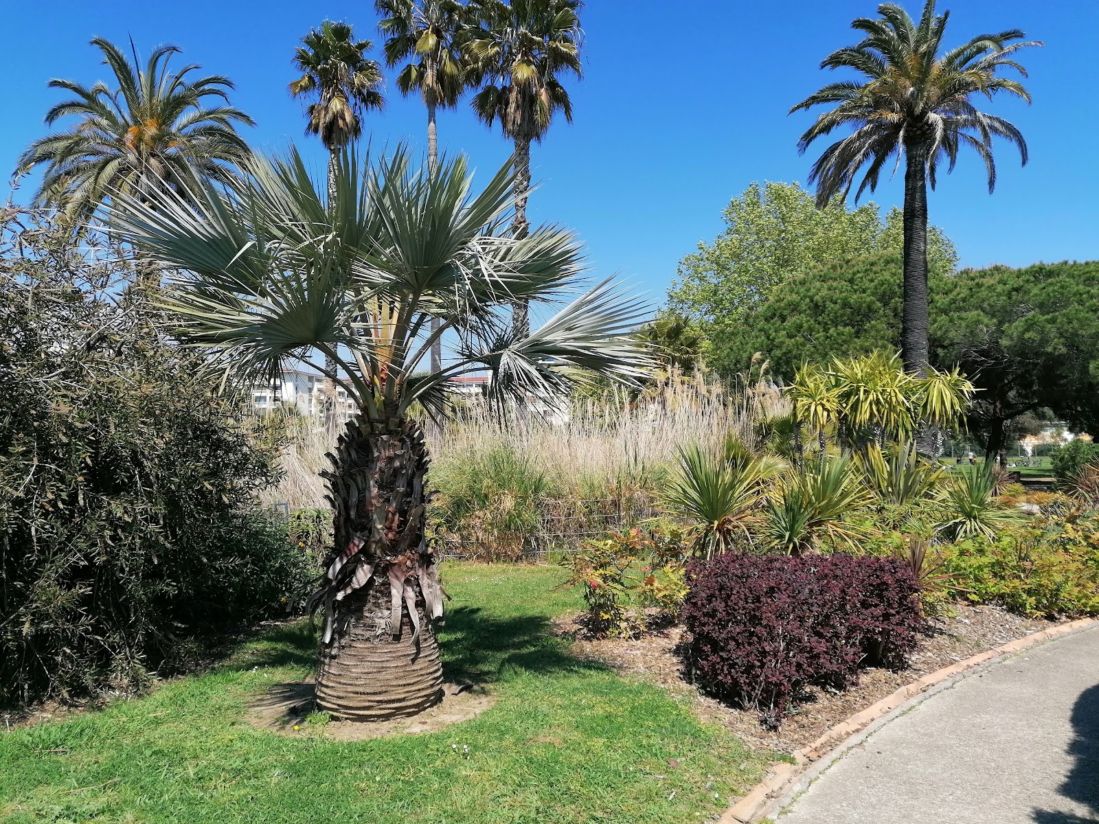 Parc Exflora