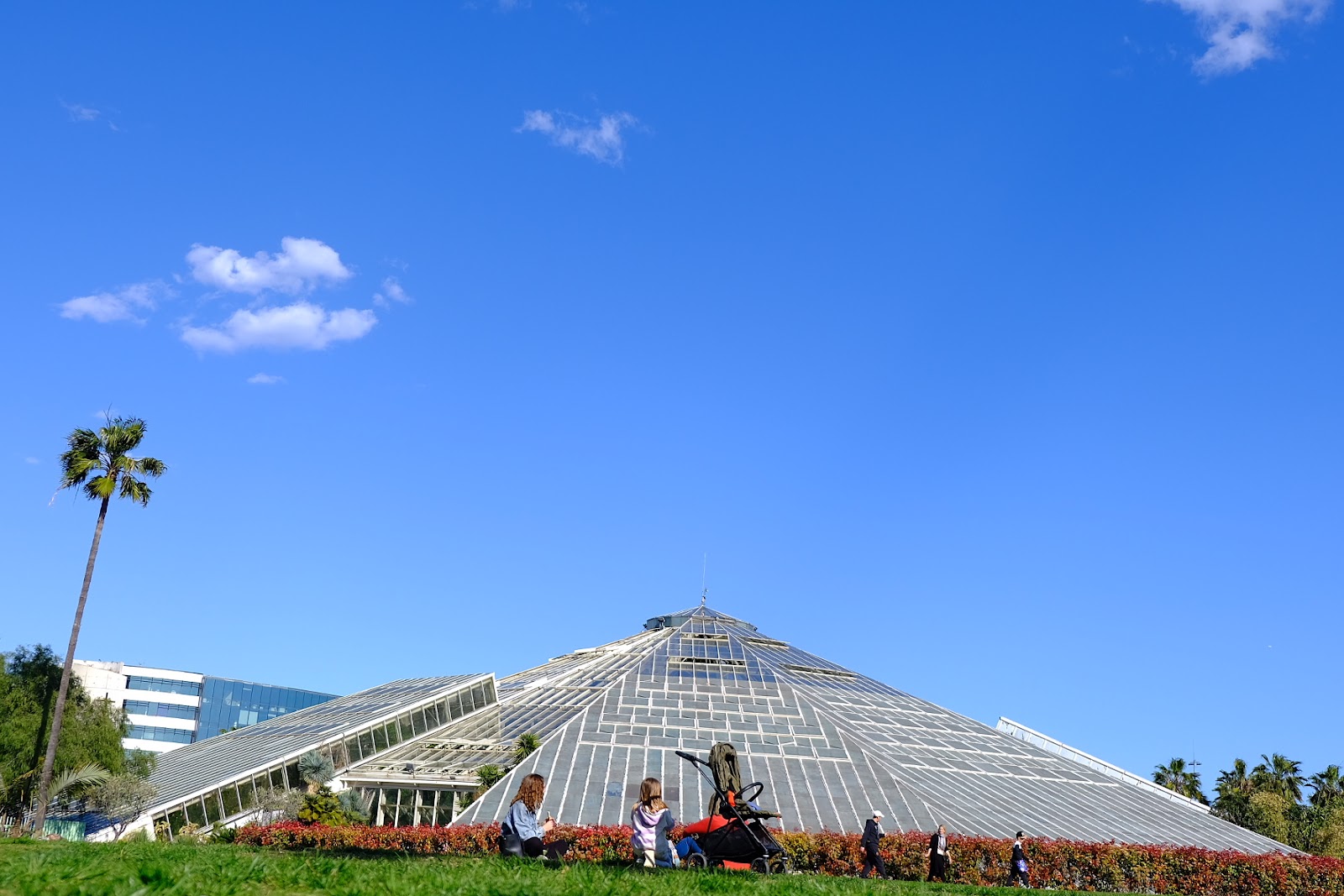 Parc Phoenix