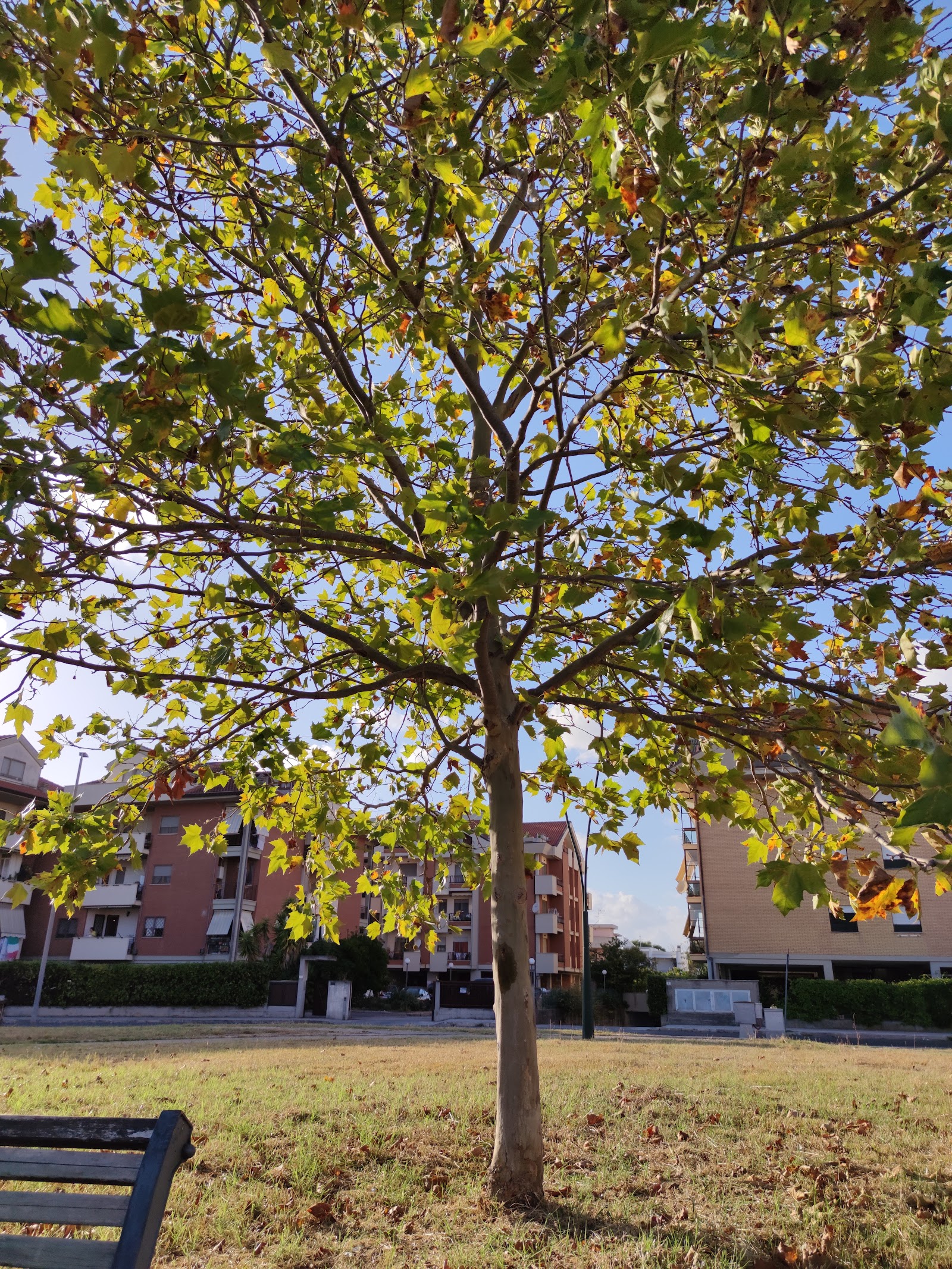 Parco Comunale di Latina