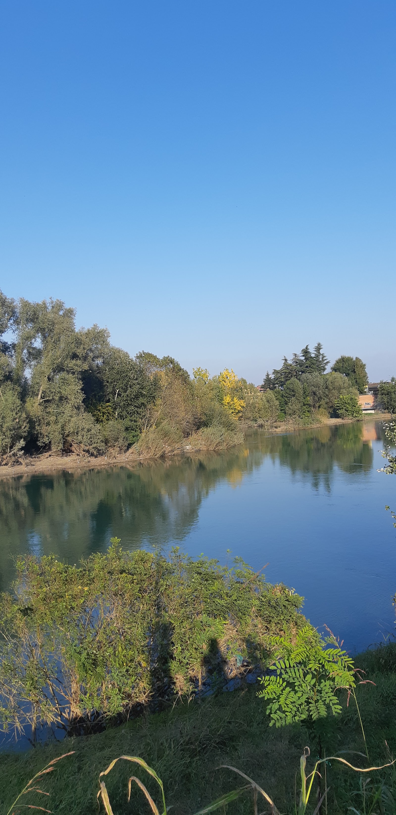 Parco dell'Adda Sud (Lodi section)