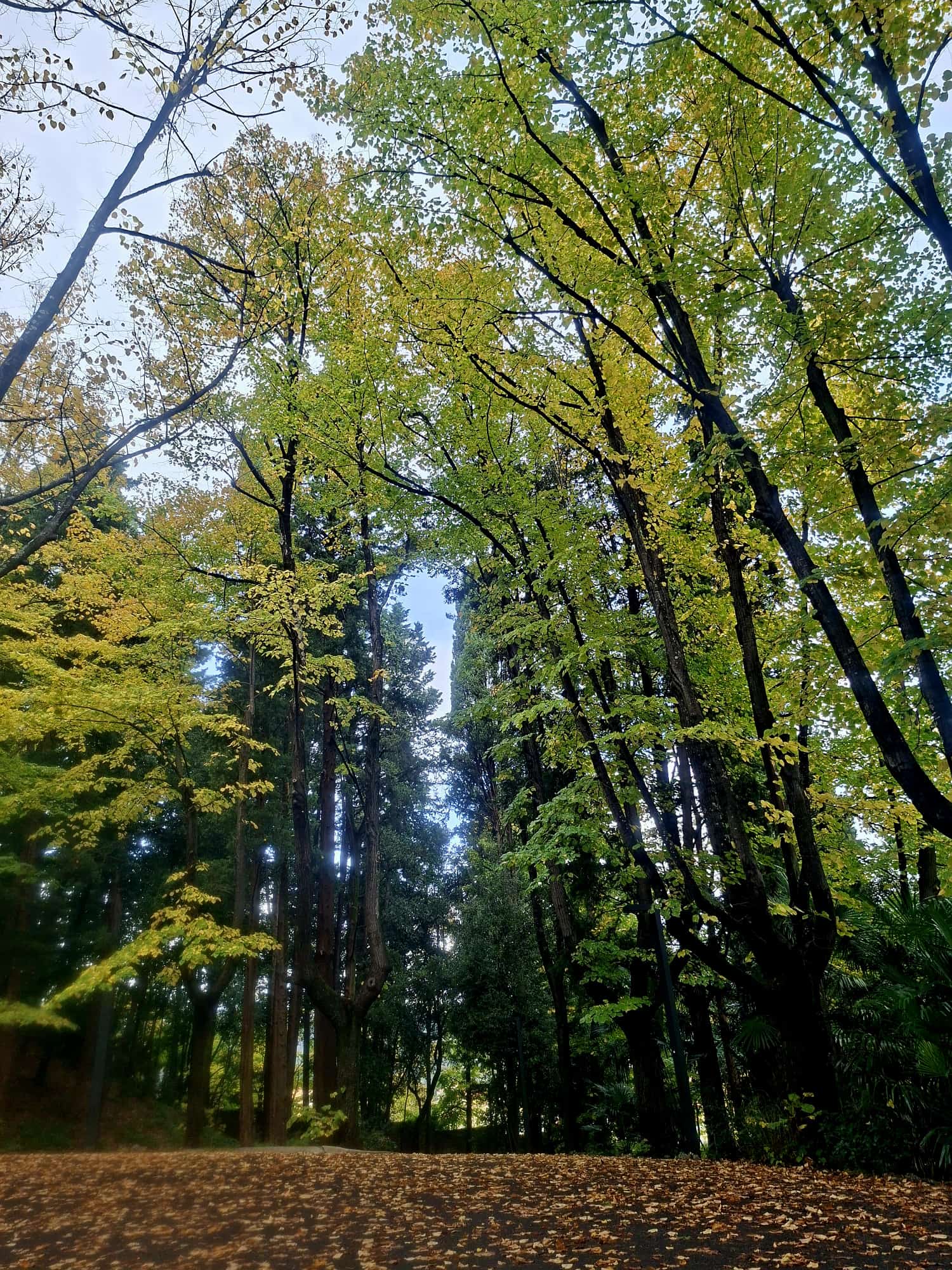 Parco Pubblico della Rimembranza