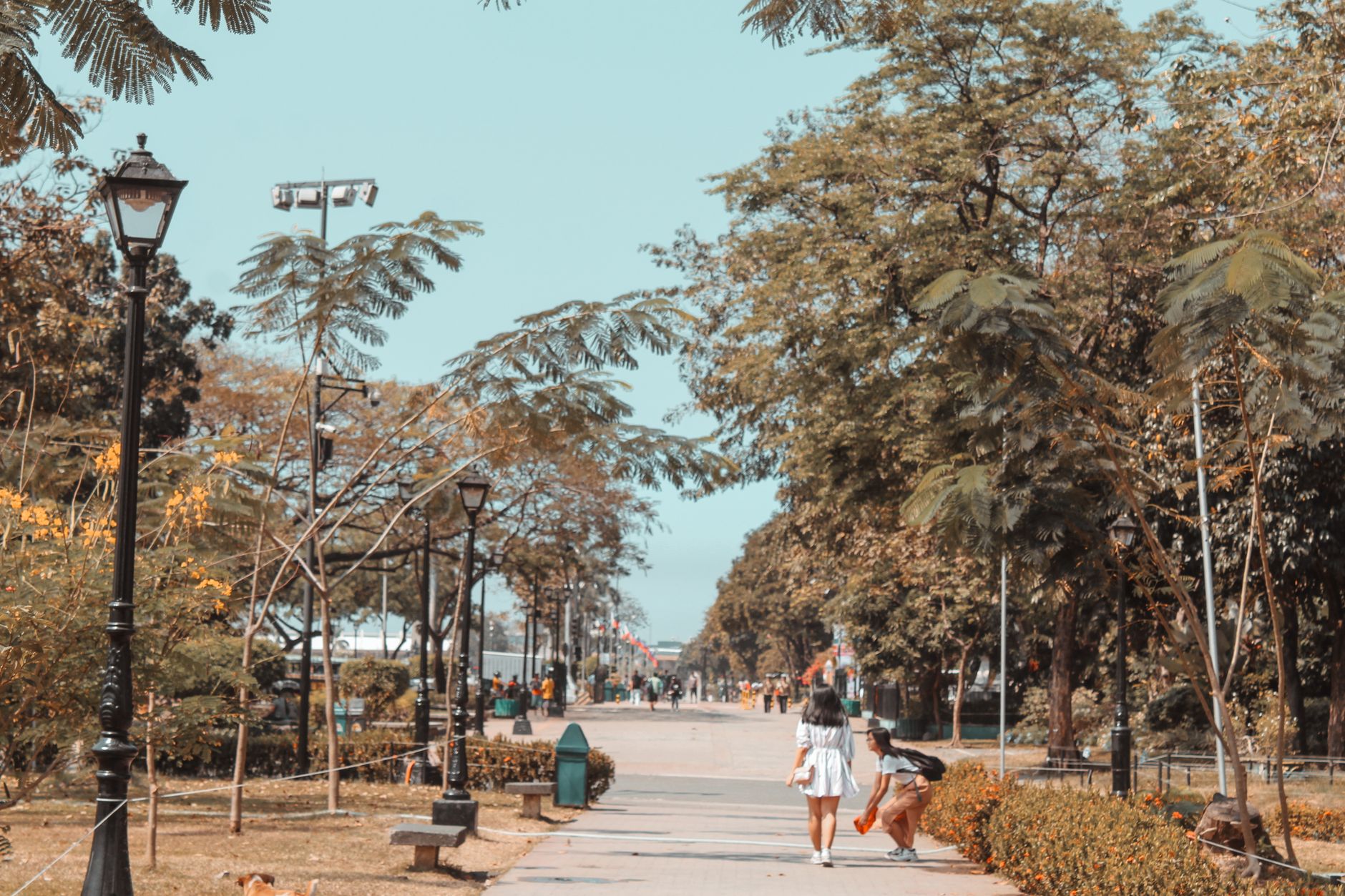 Parklands