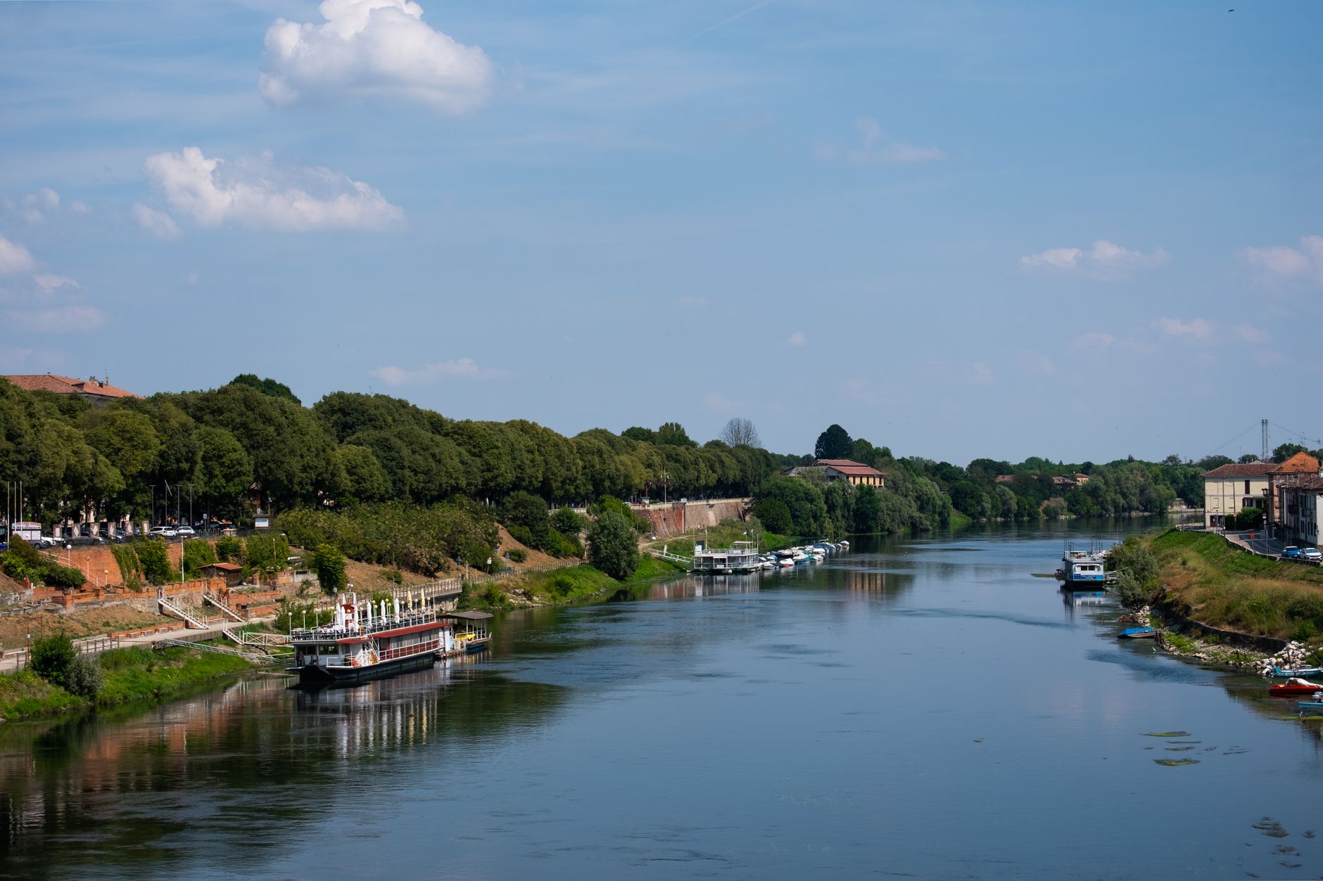 Pavia