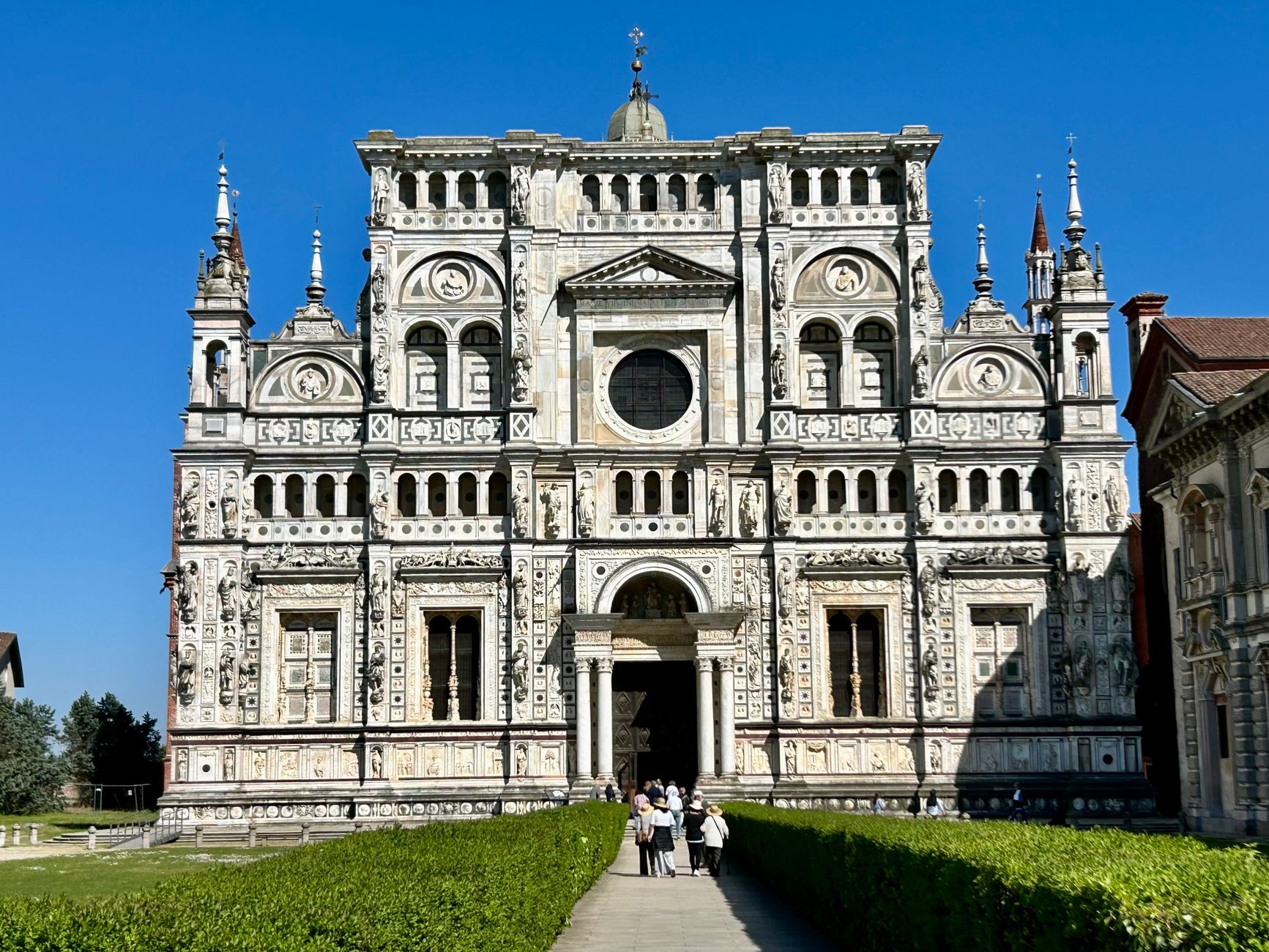 Pavia