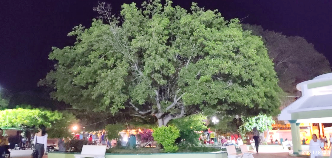 Pedernales