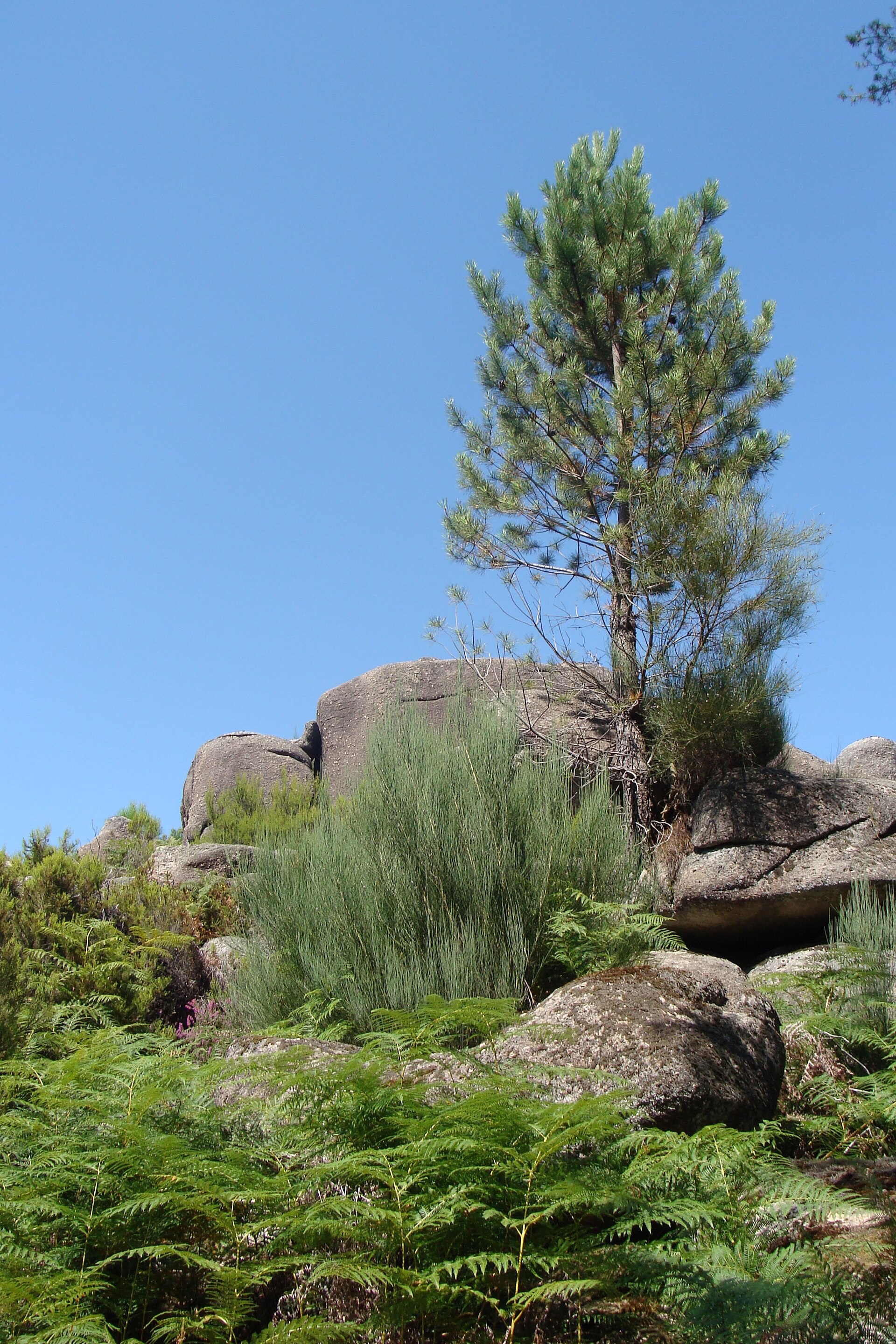 Peneda-Gerês National Park