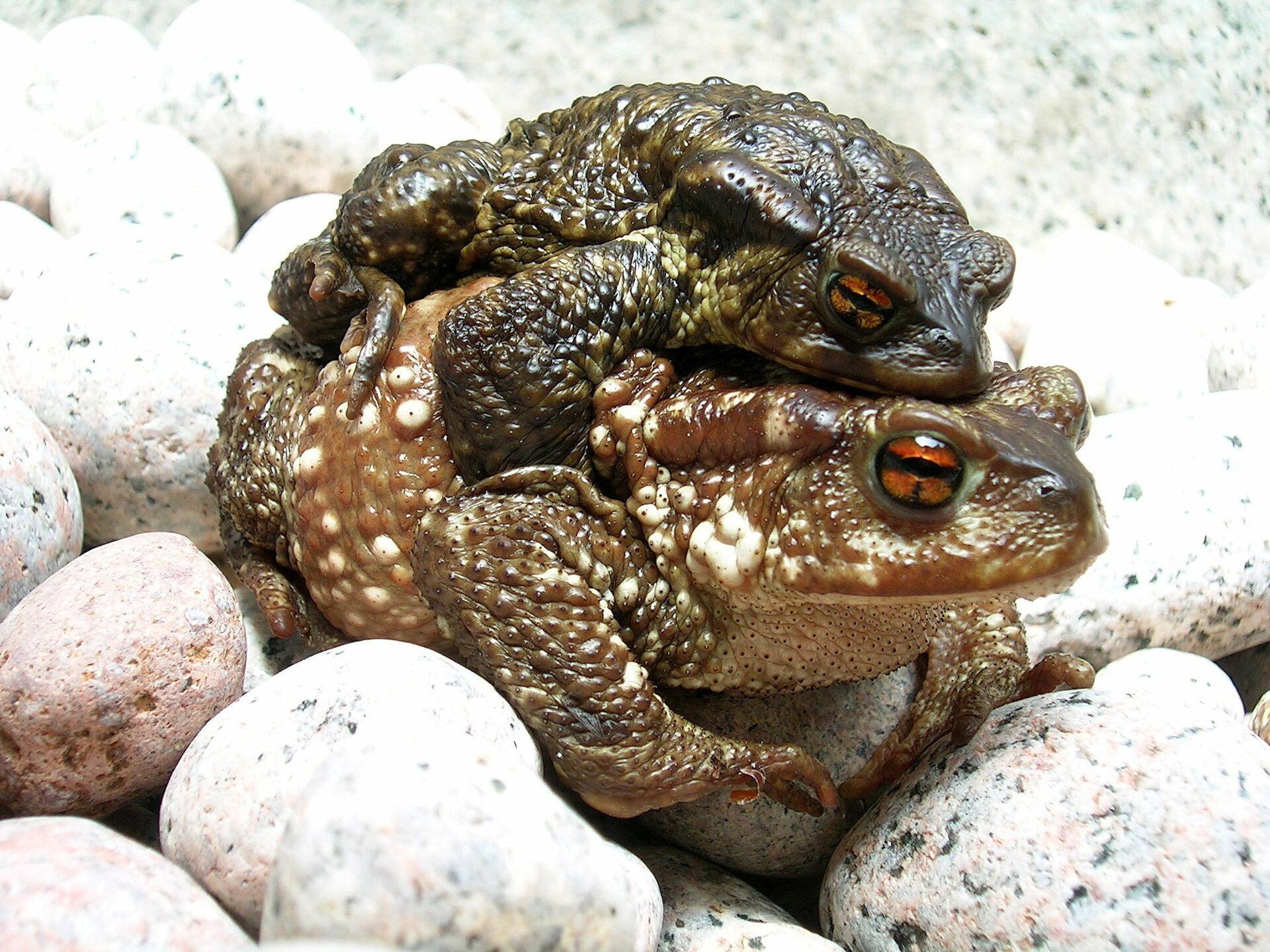 Peneda-Gerês National Park
