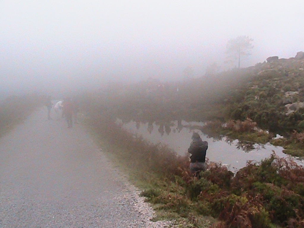 Peneda-Gerês National Park