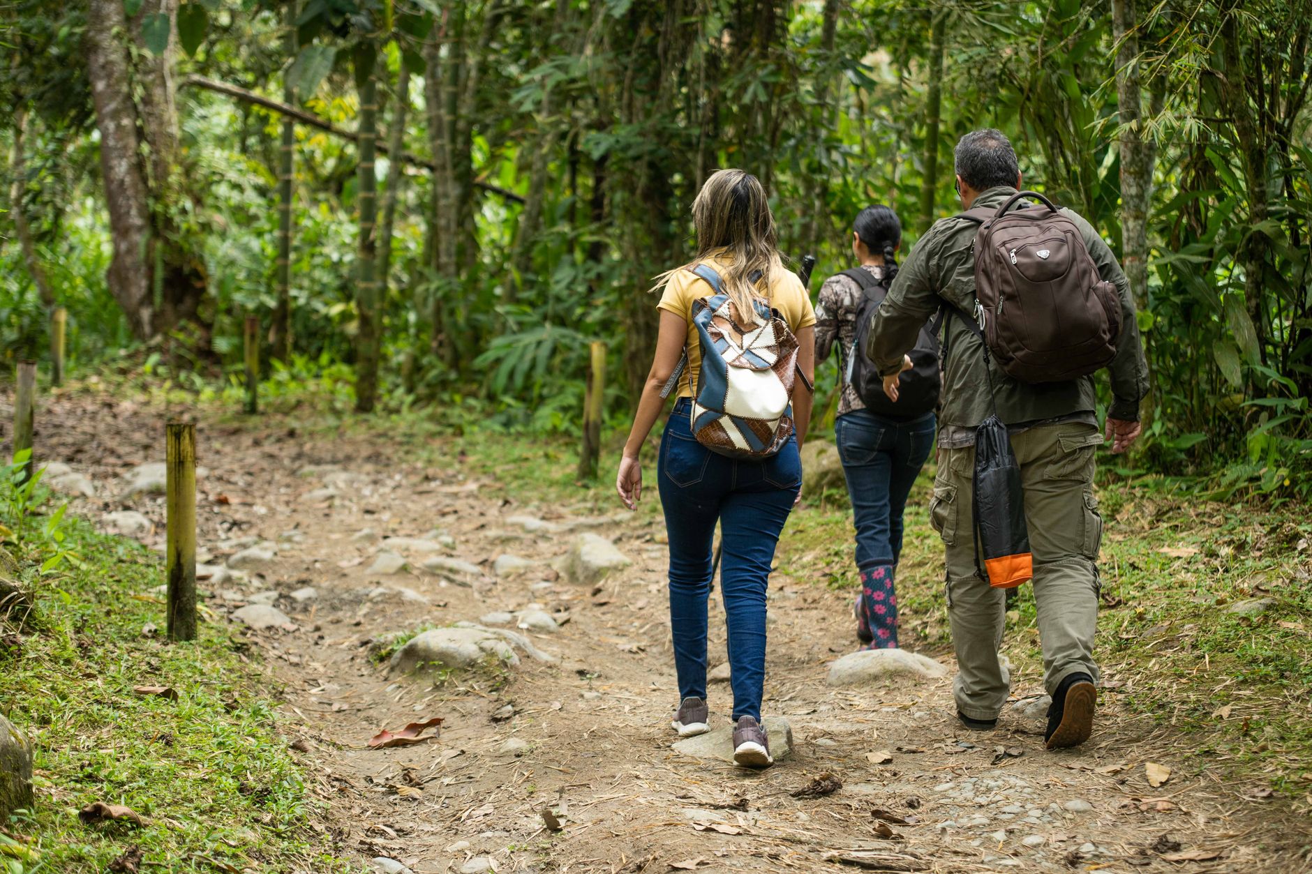 Pico Bonito National Park