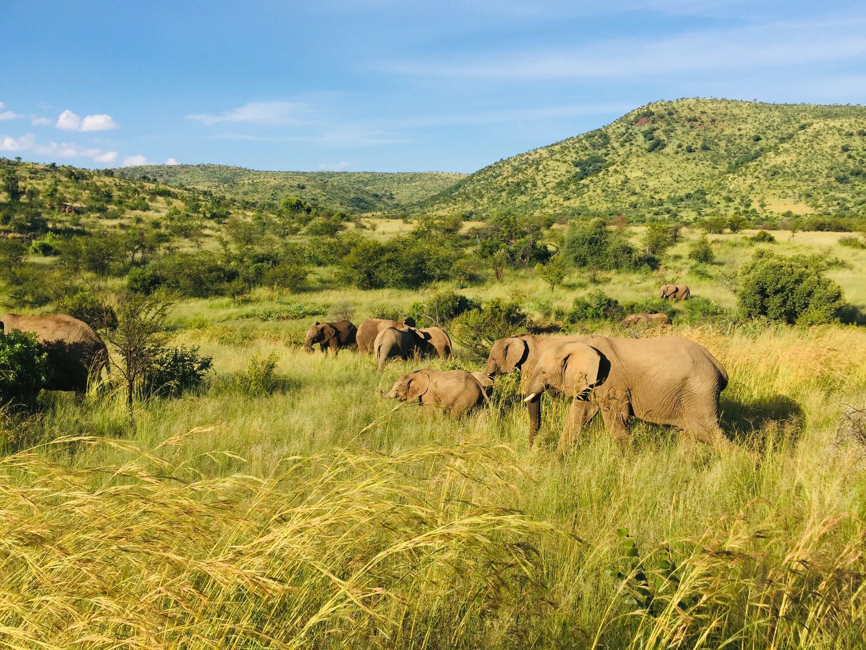Pilanesberg National Park