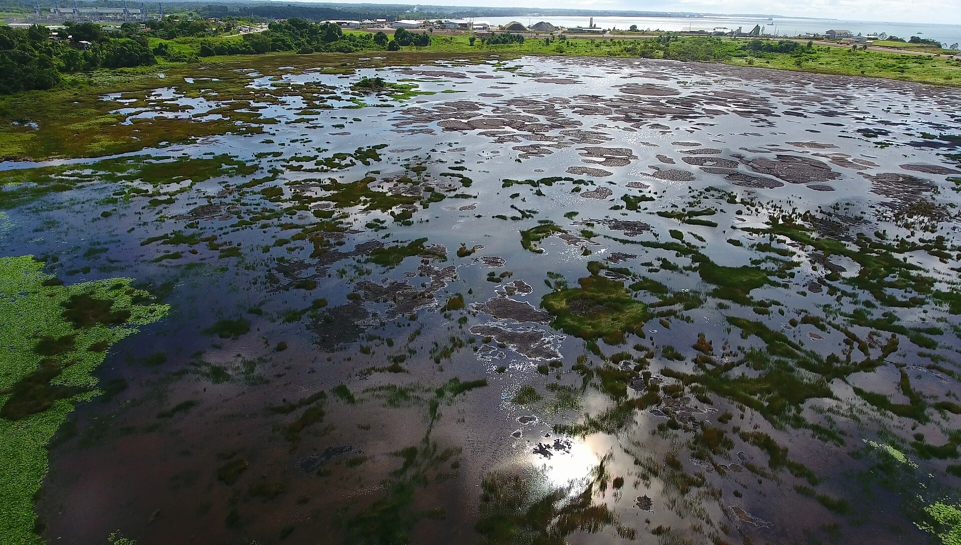 Pitch Lake, La Brea