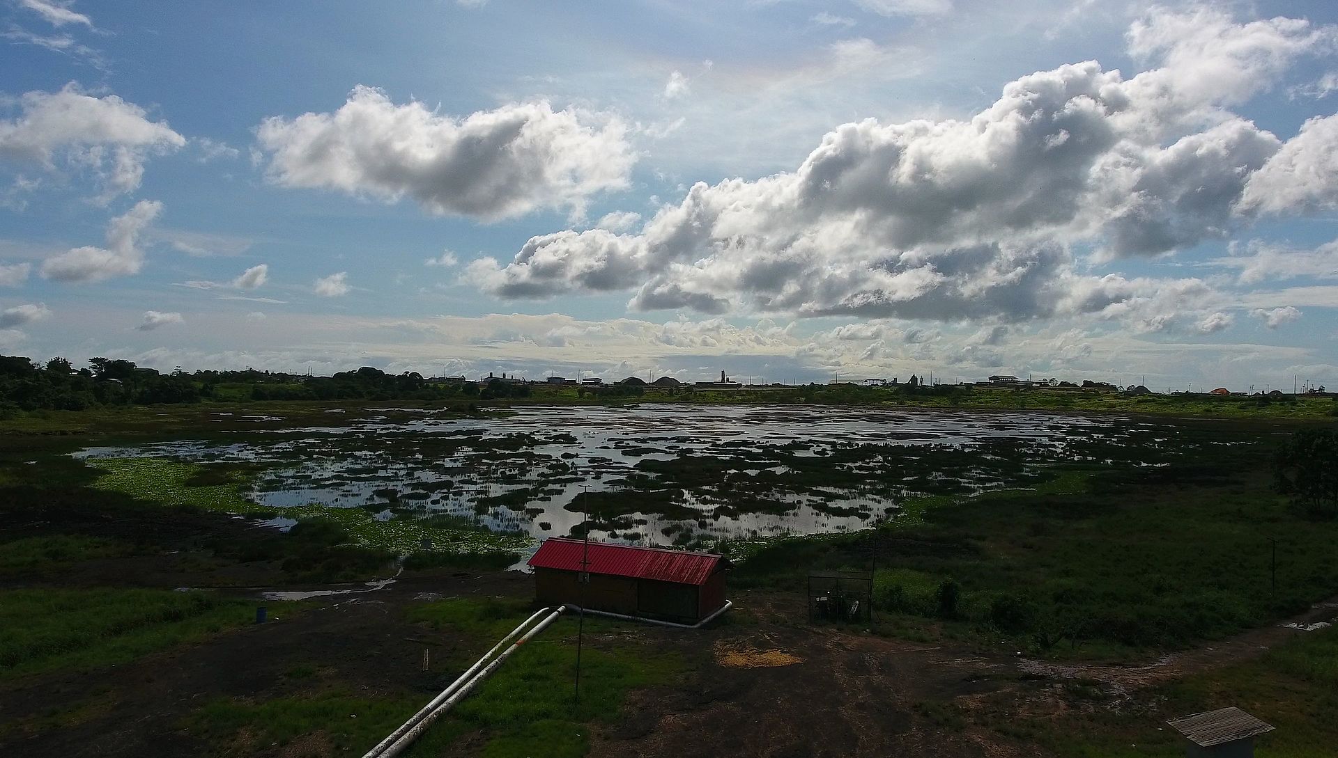 Pitch Lake, La Brea