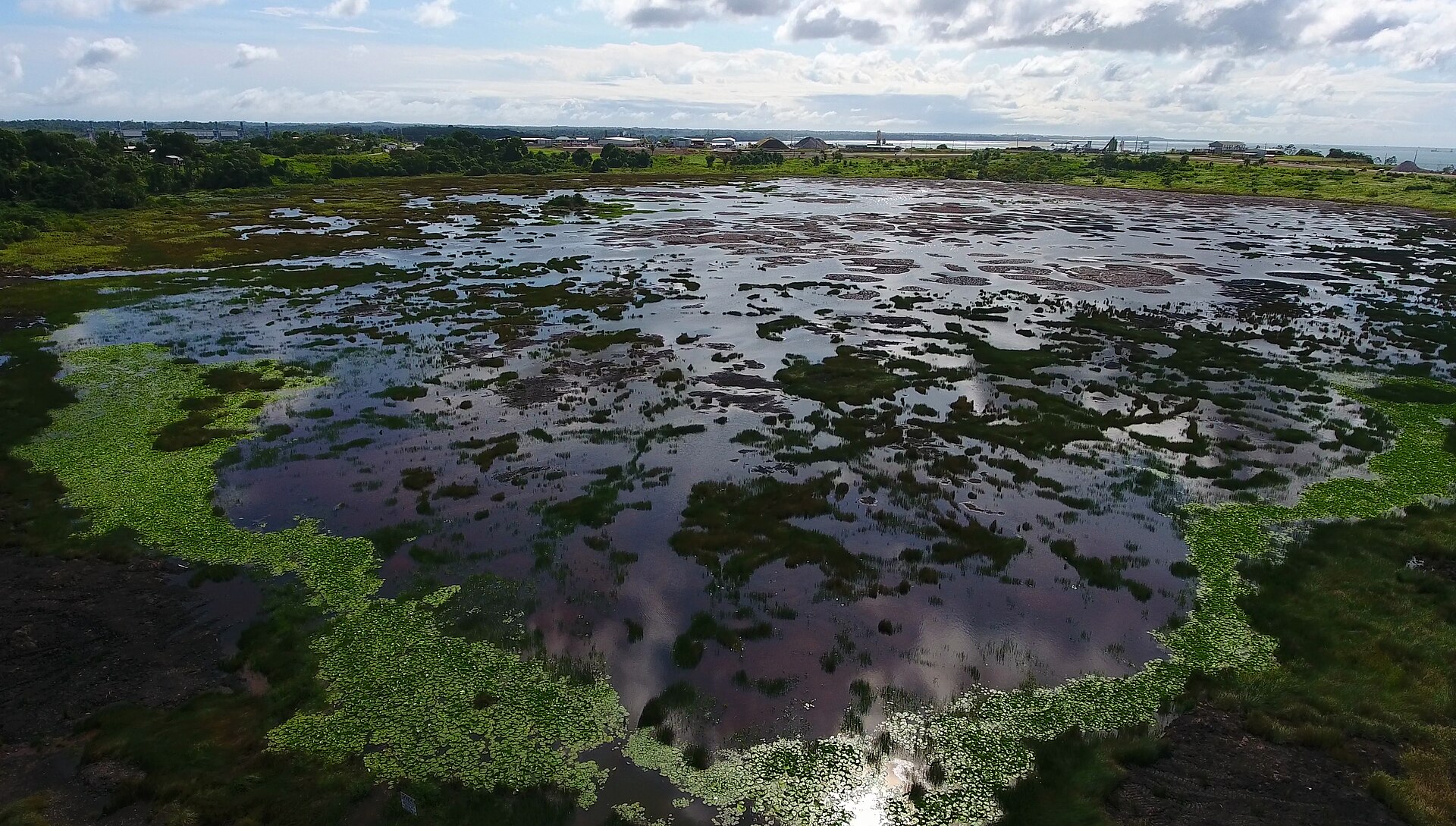 Pitch Lake, La Brea