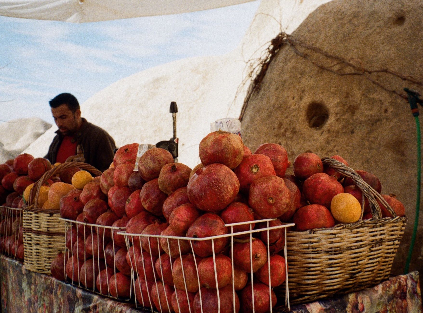 Pomegranate Orchard