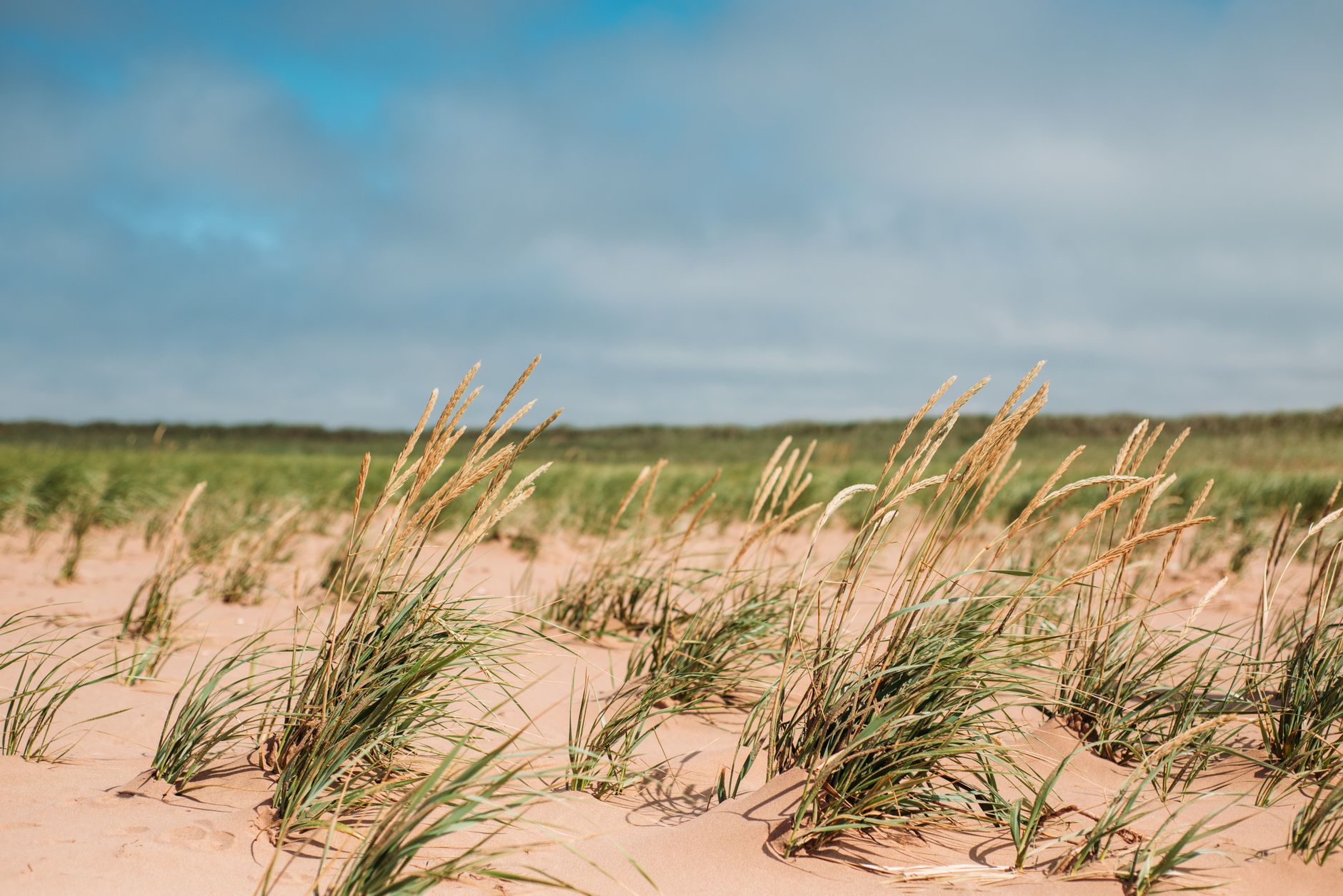 Prince Edward Island