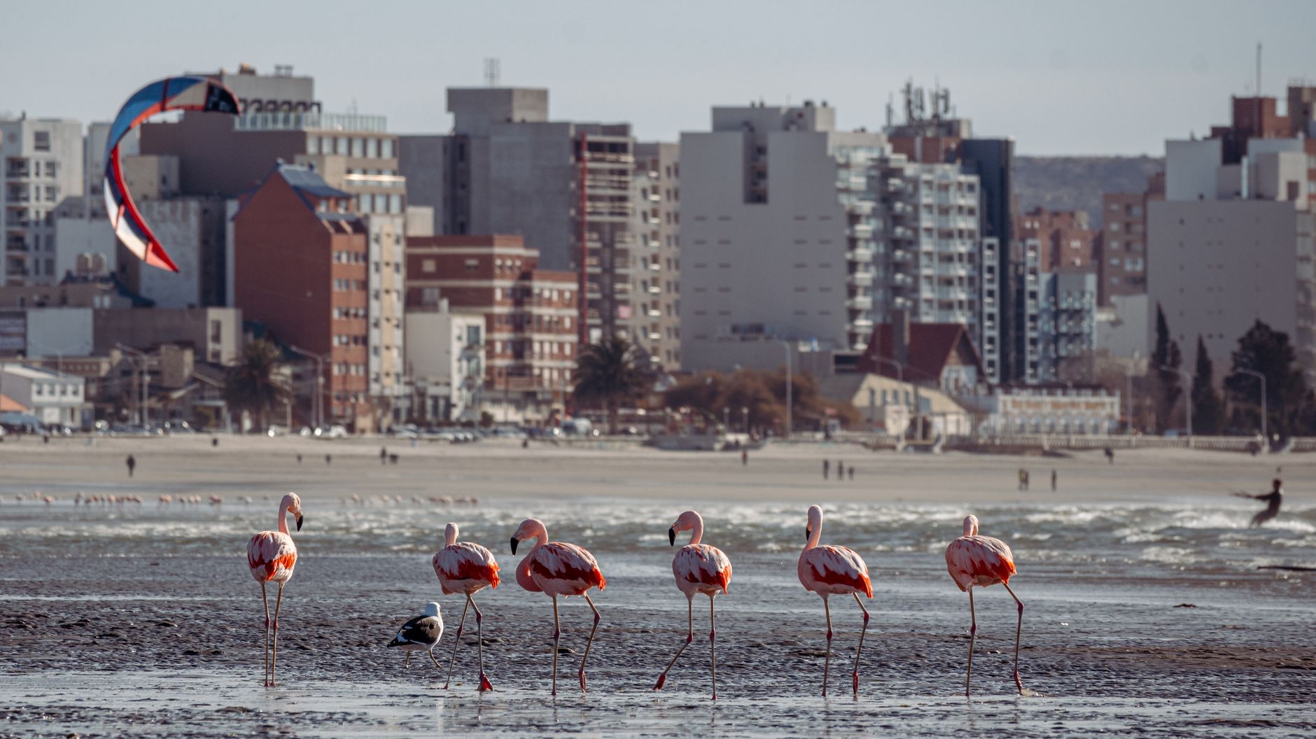 Puerto Madryn