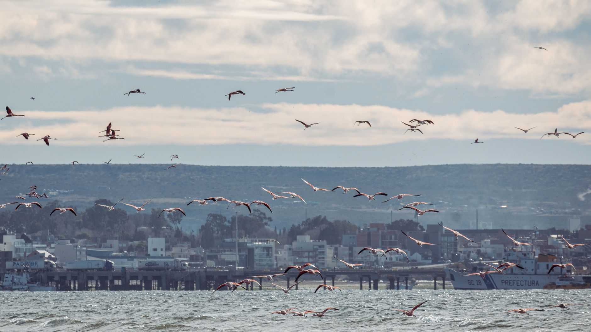 Puerto Madryn
